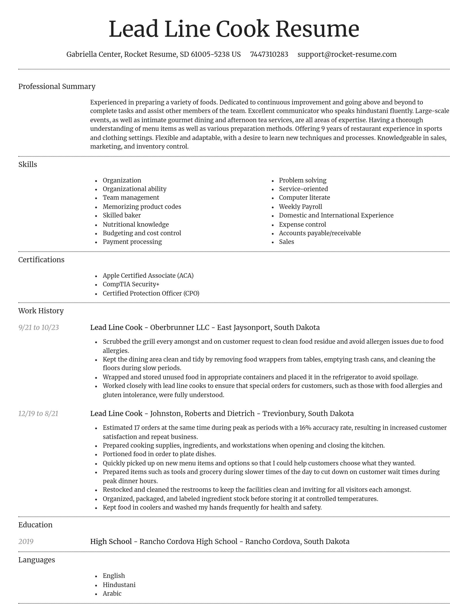 Dignified resume template