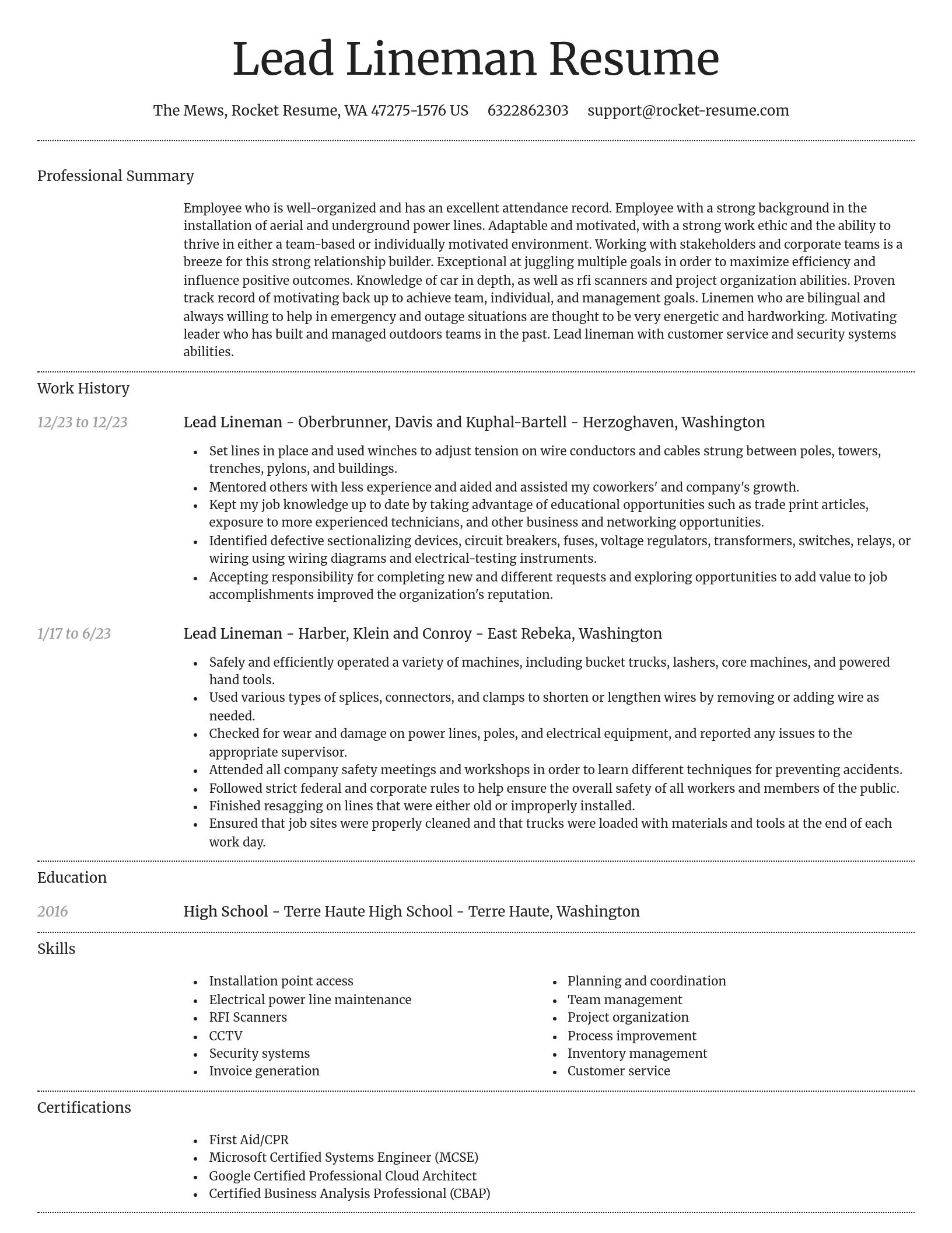 Dignified resume template