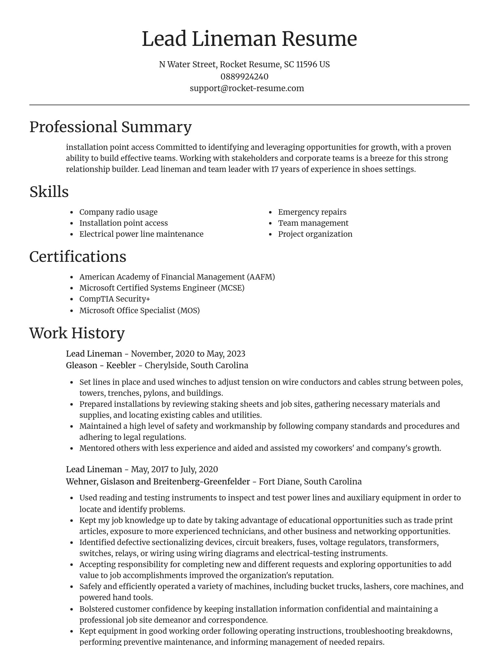 Focal Point resume template