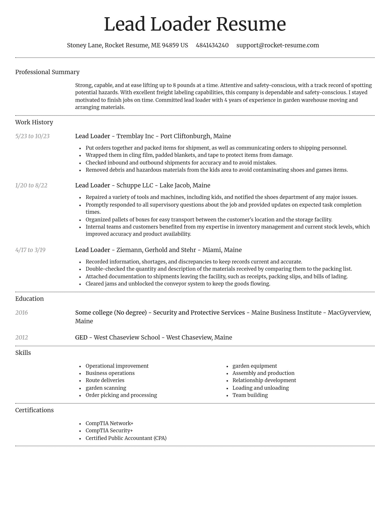 Dignified resume template