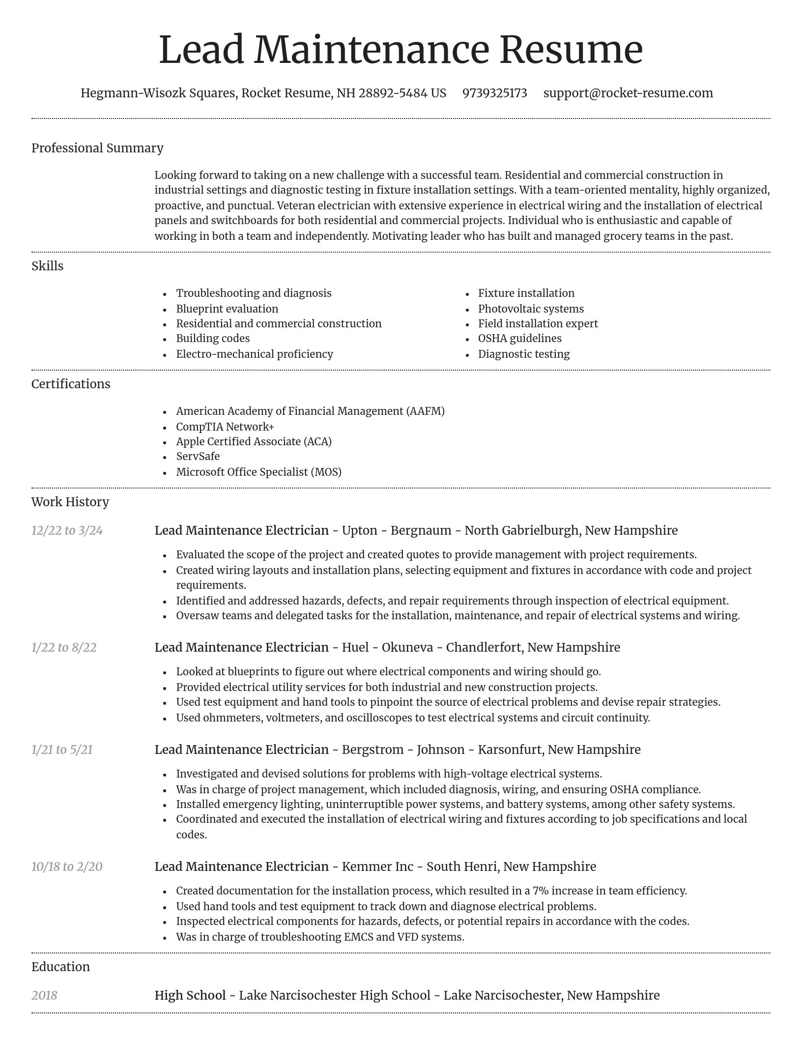 Dignified resume template