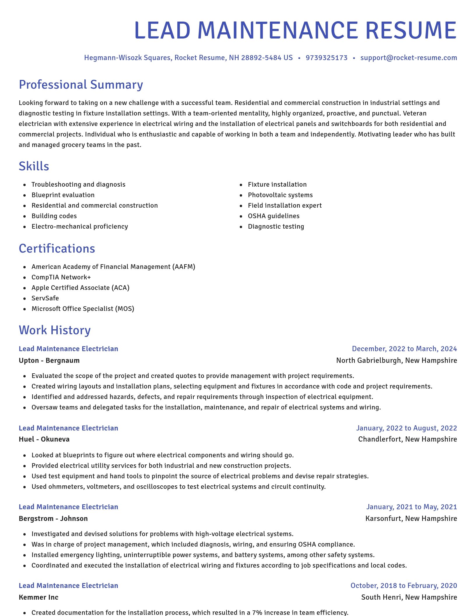 Novel resume template