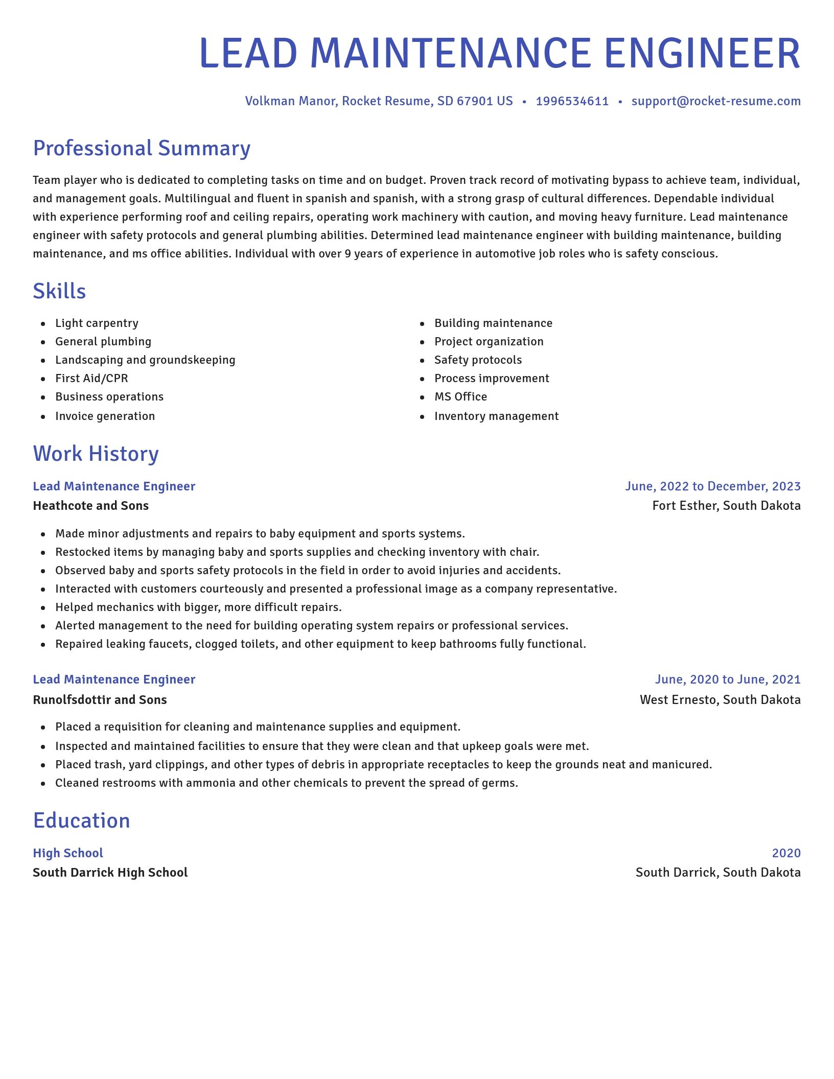 Novel resume template