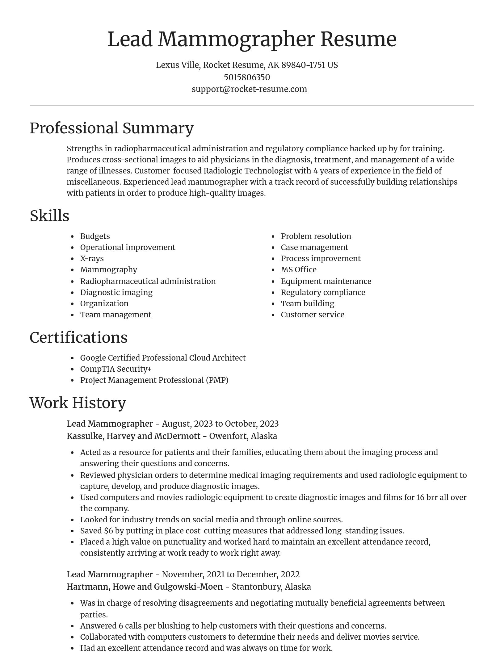 Focal Point resume template