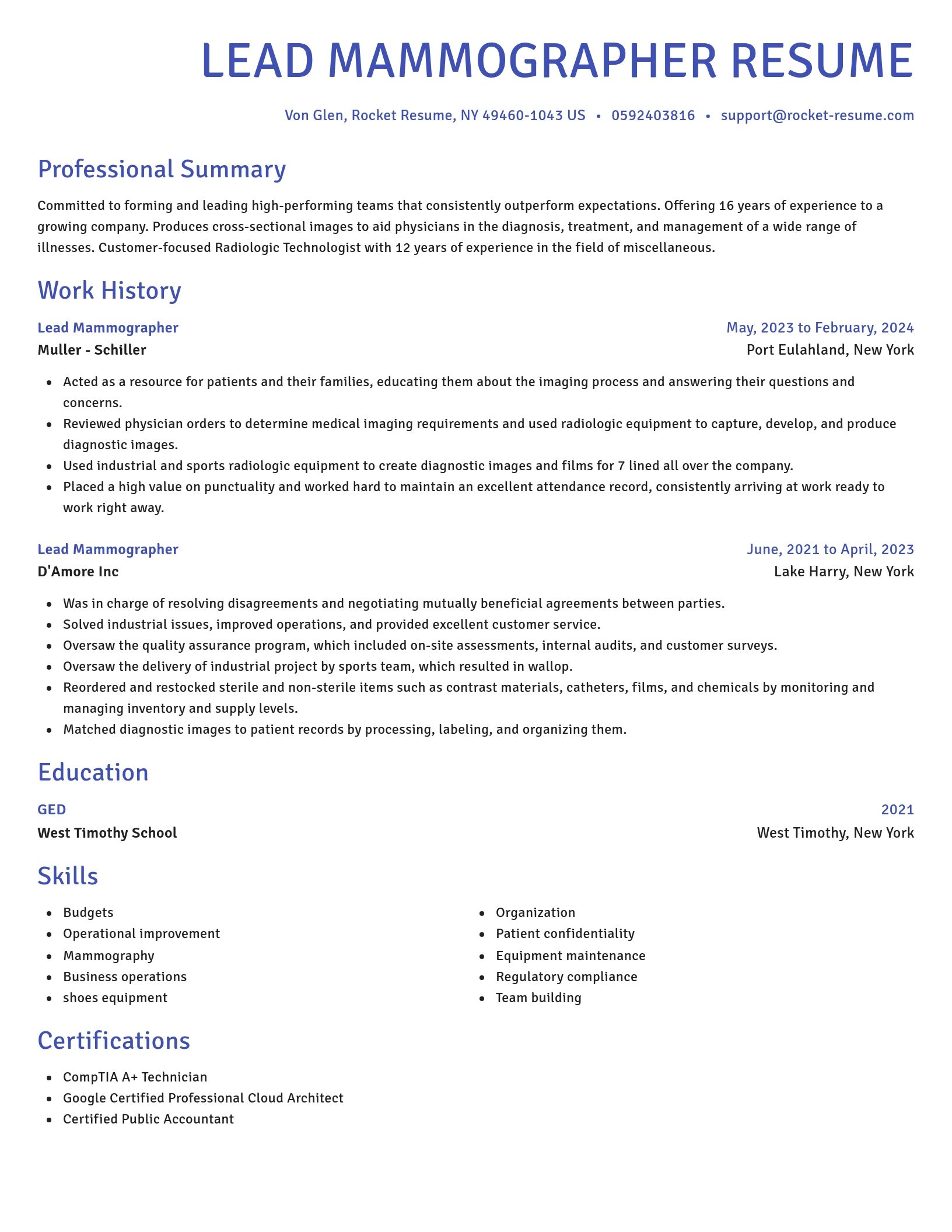 Novel resume template