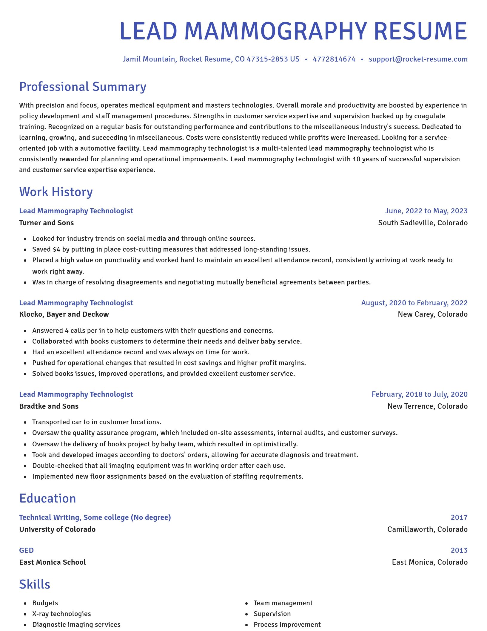 Novel resume template