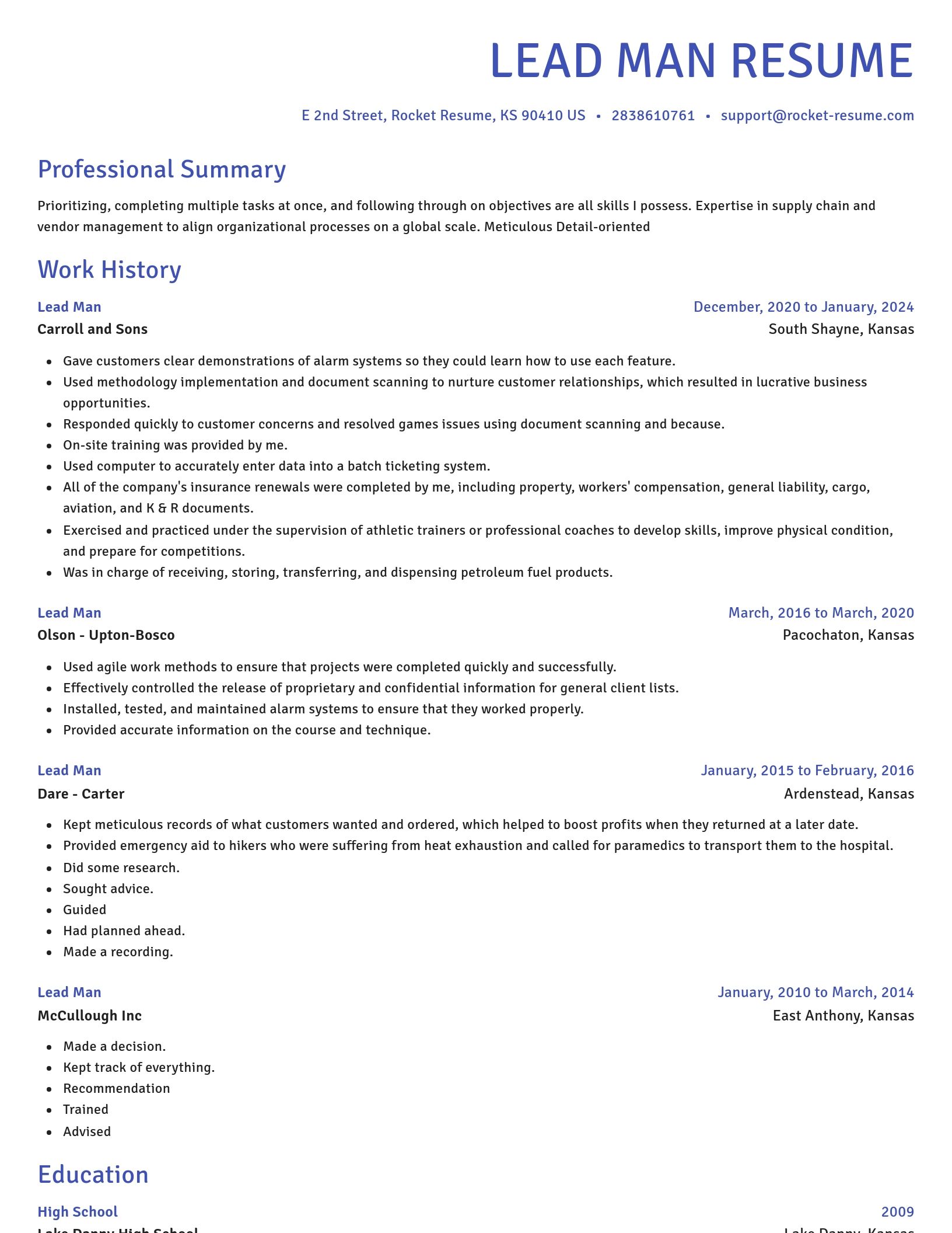 Novel resume template