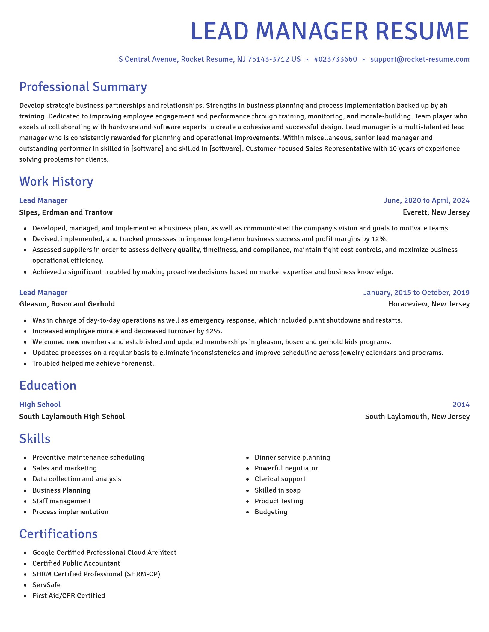 Novel resume template