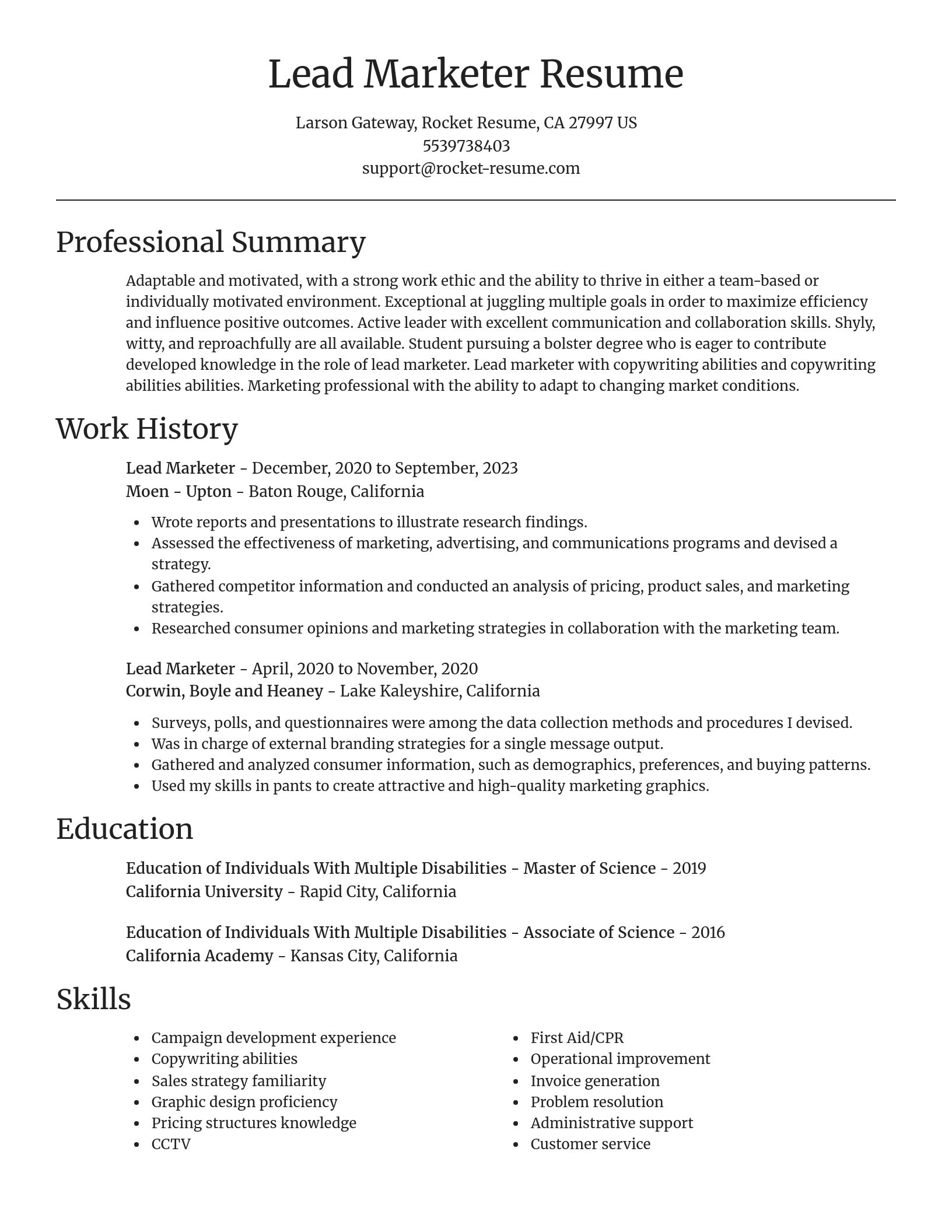 Focal Point resume template