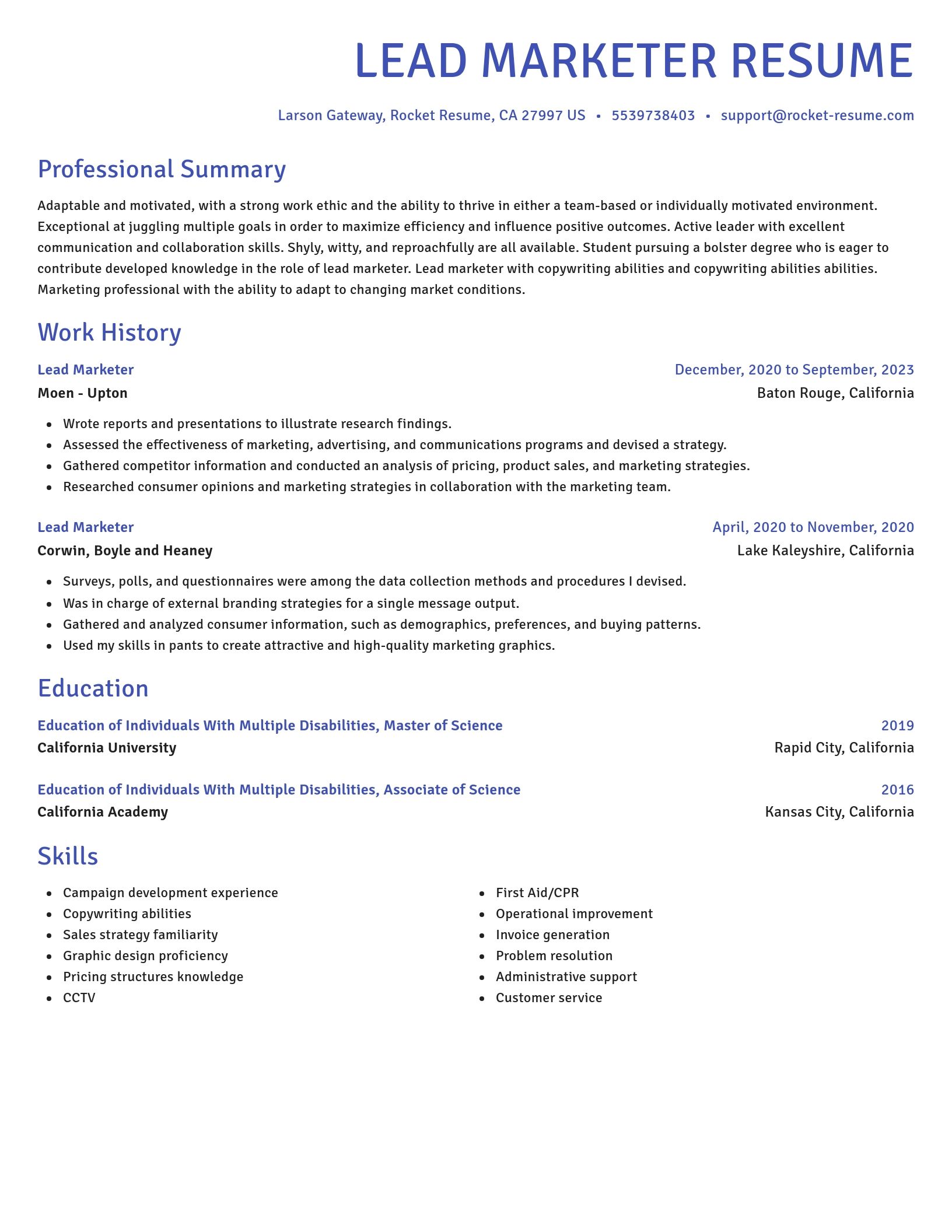Novel resume template
