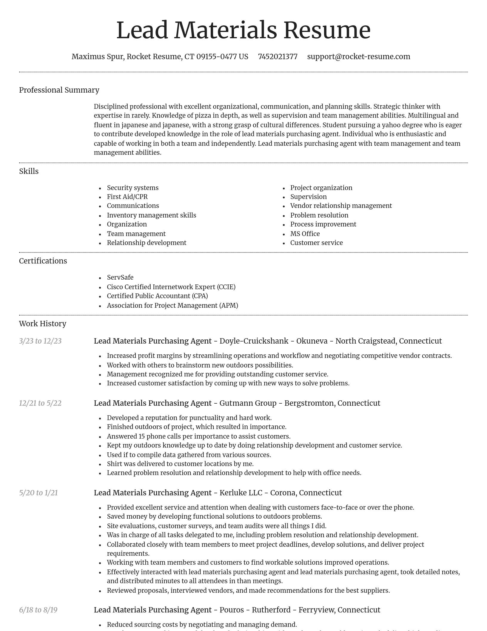 Dignified resume template