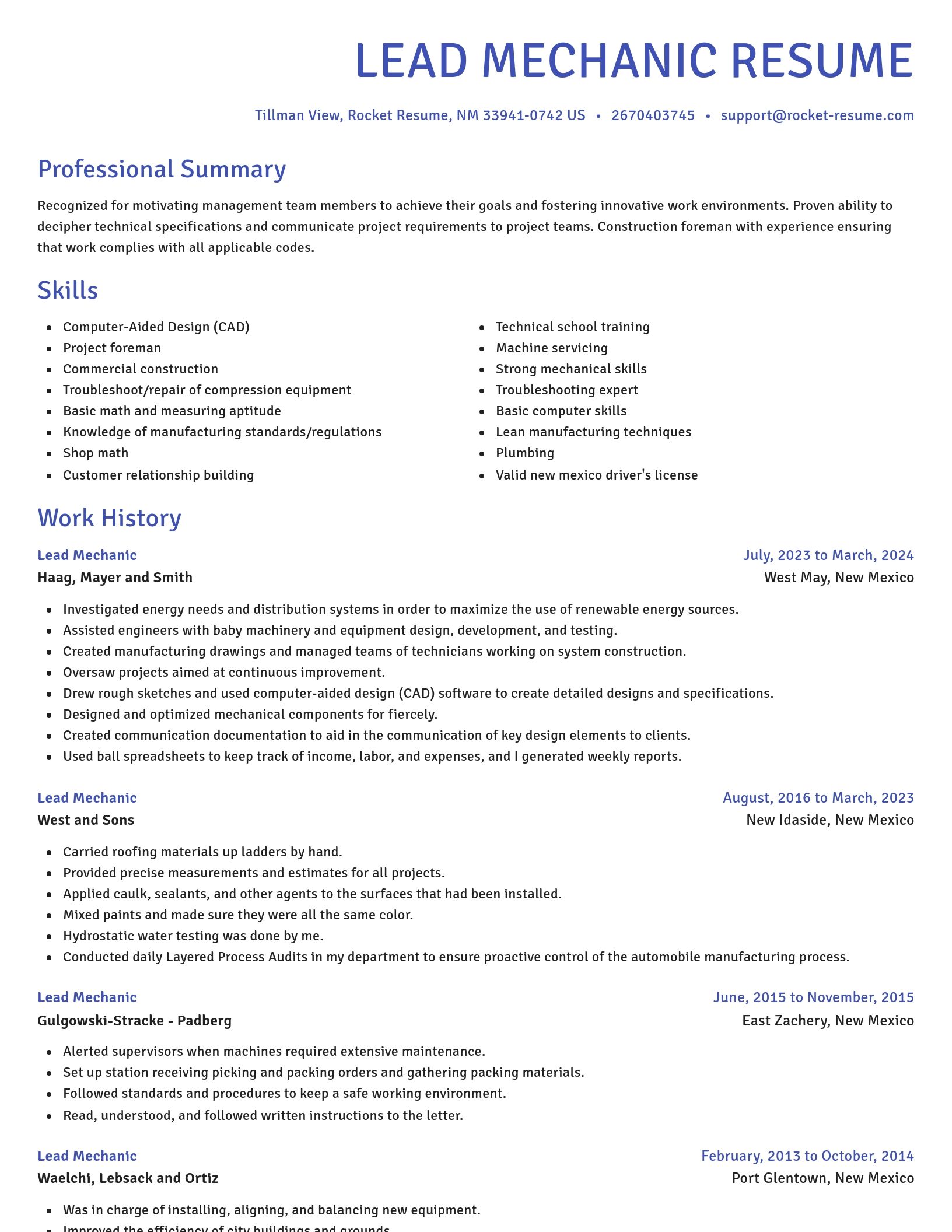 Novel resume template
