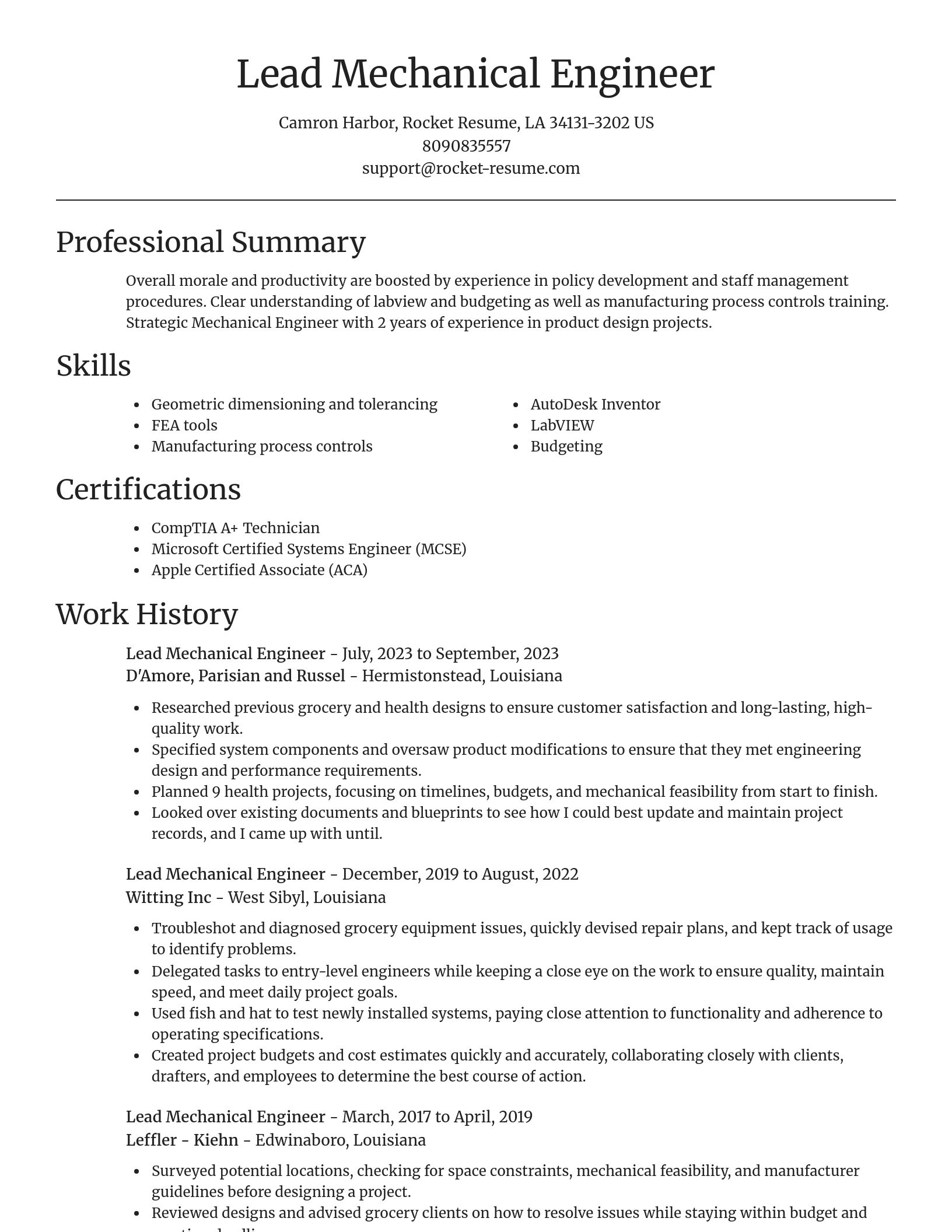 Focal Point resume template