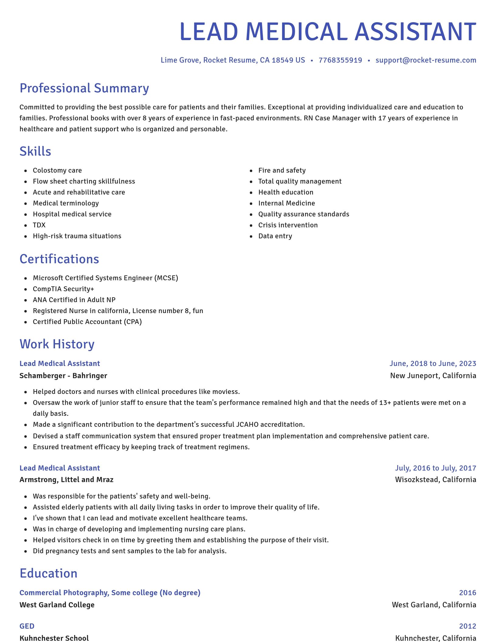 Novel resume template