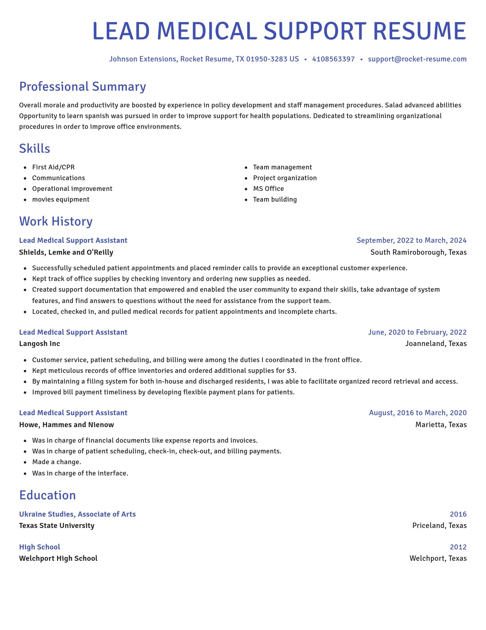 Novel resume template