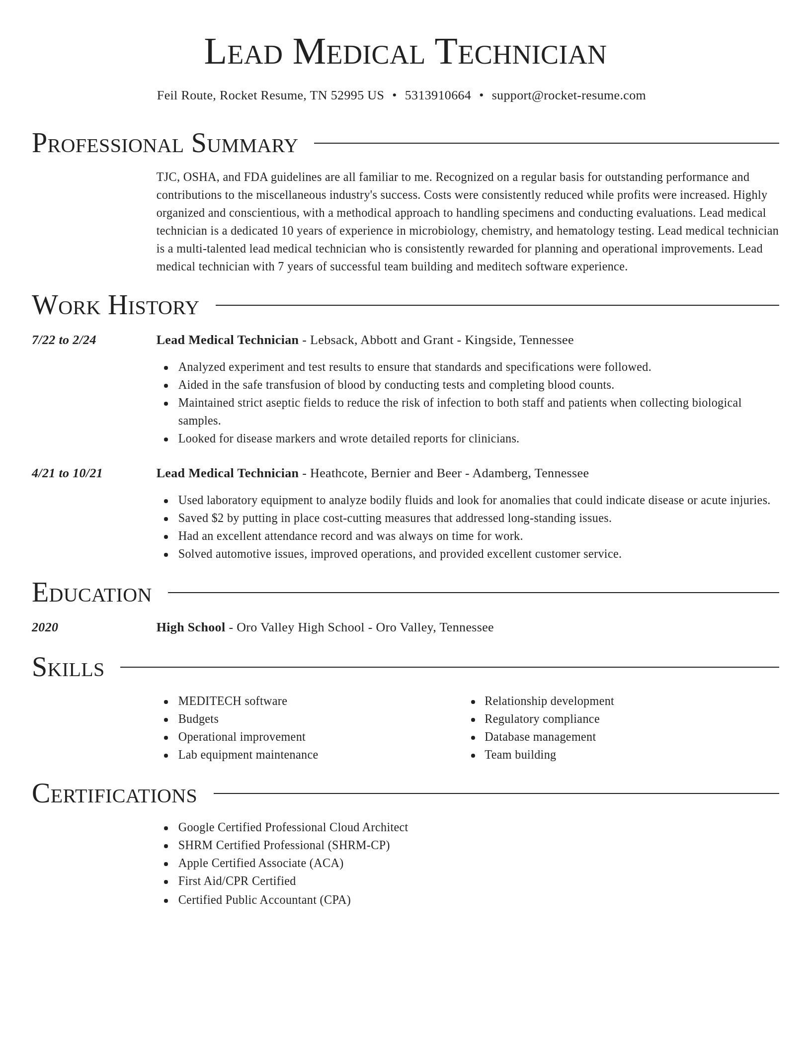 Director resume template