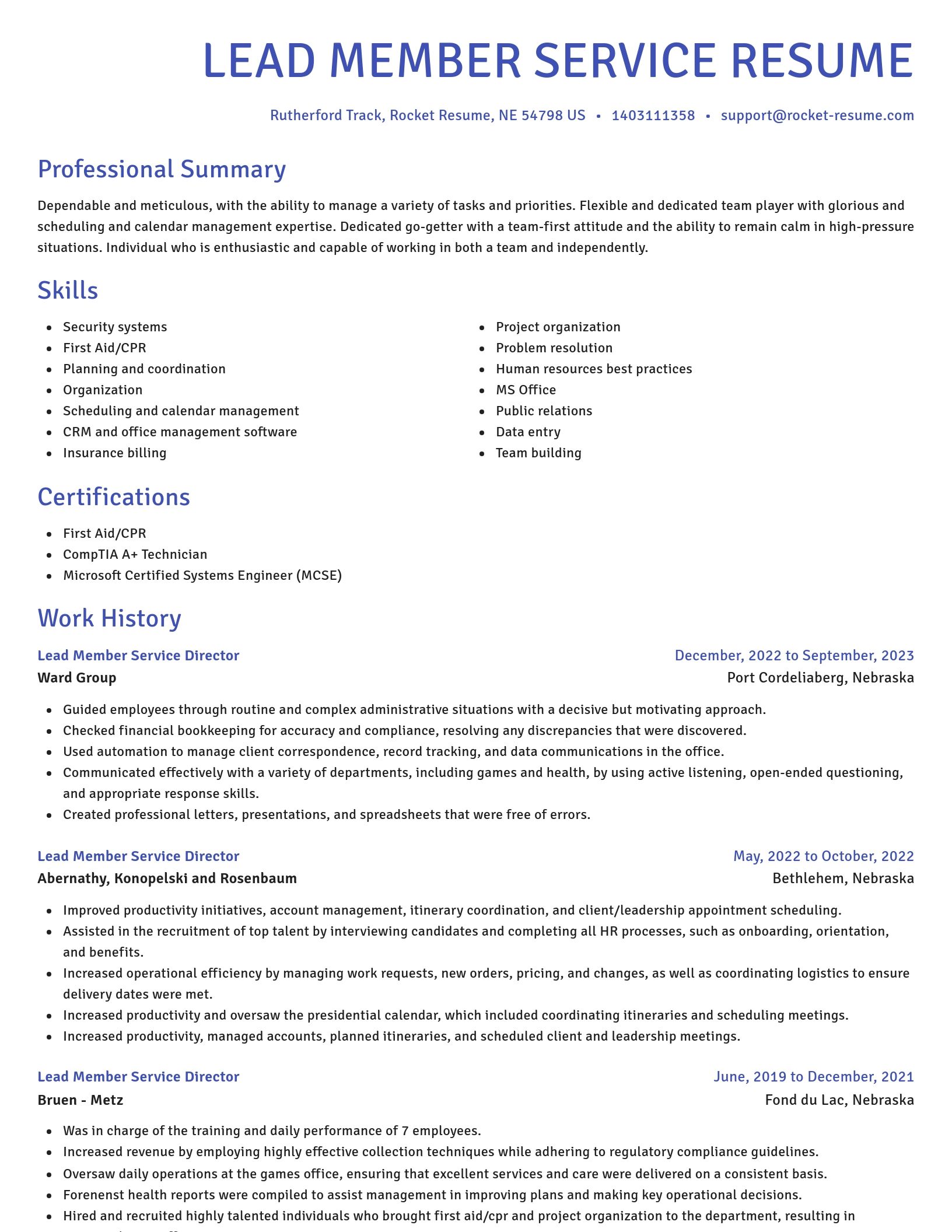 Novel resume template