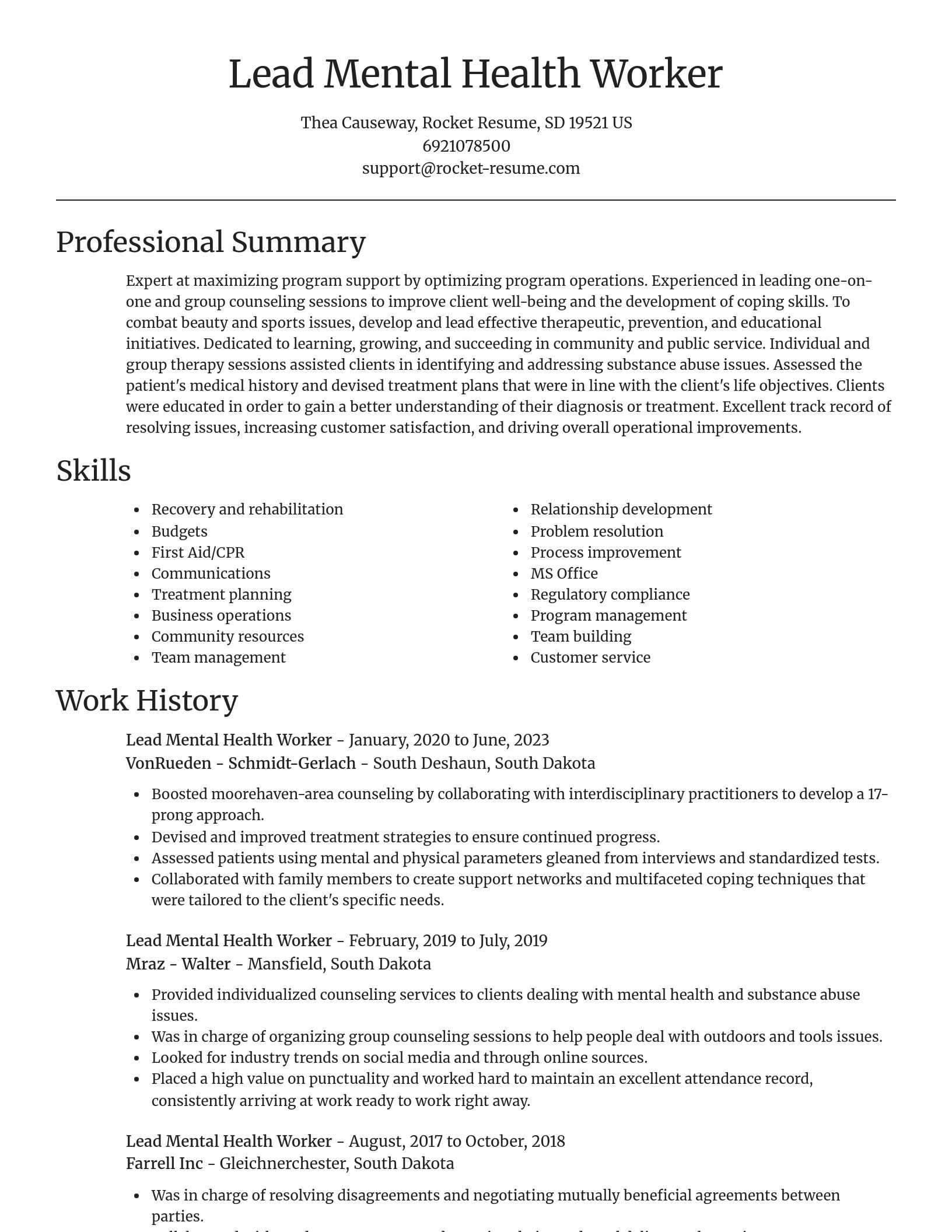 Focal Point resume template