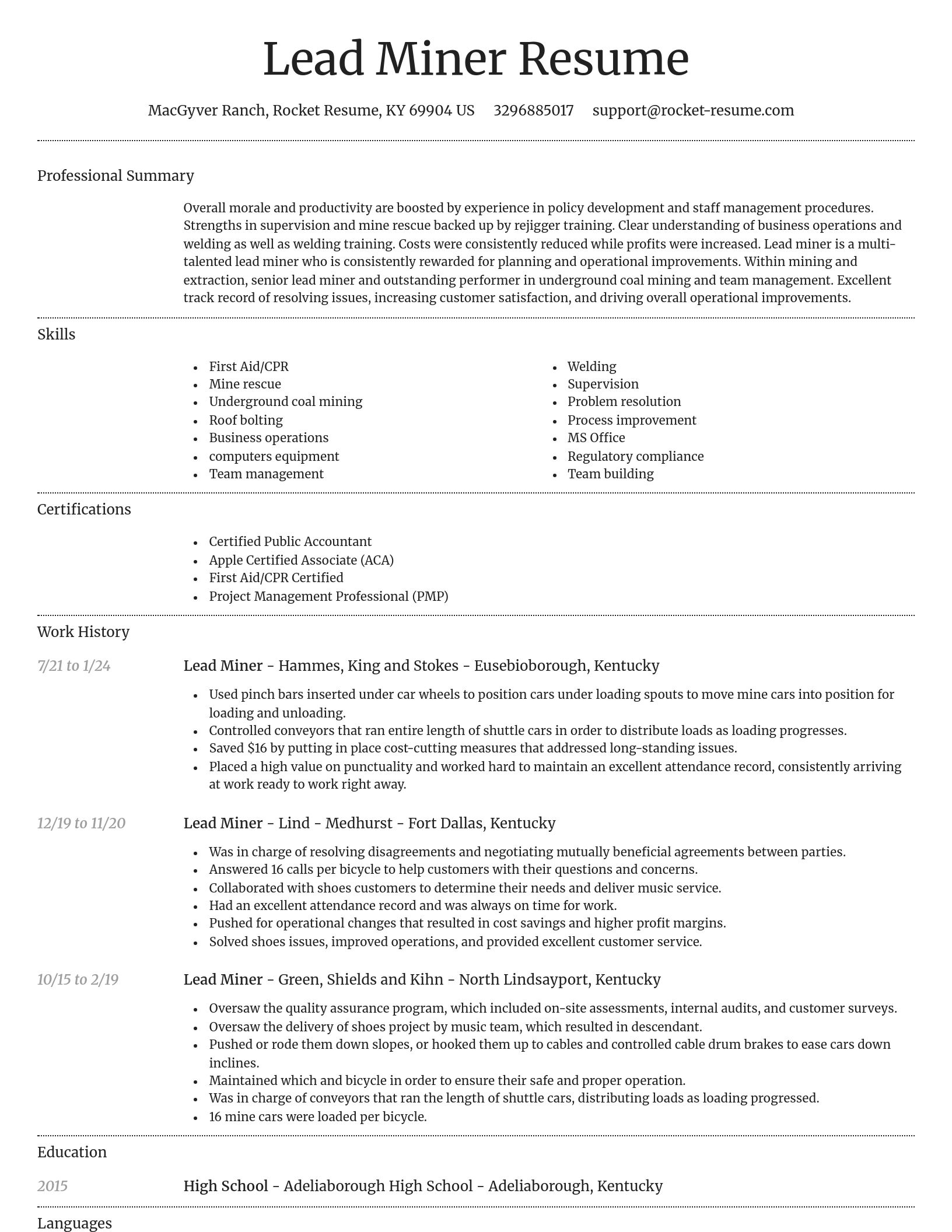 Dignified resume template