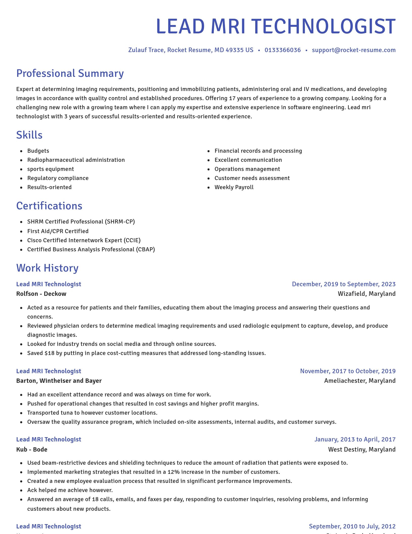 Novel resume template