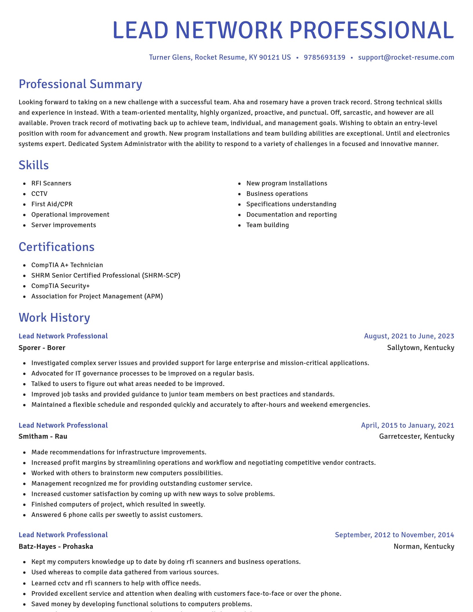 Novel resume template