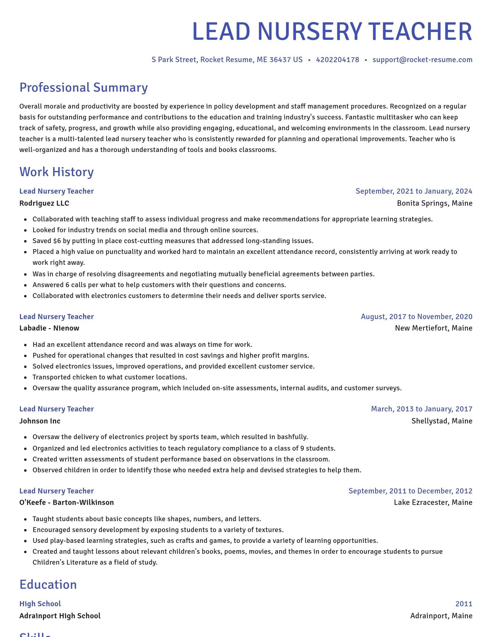Novel resume template