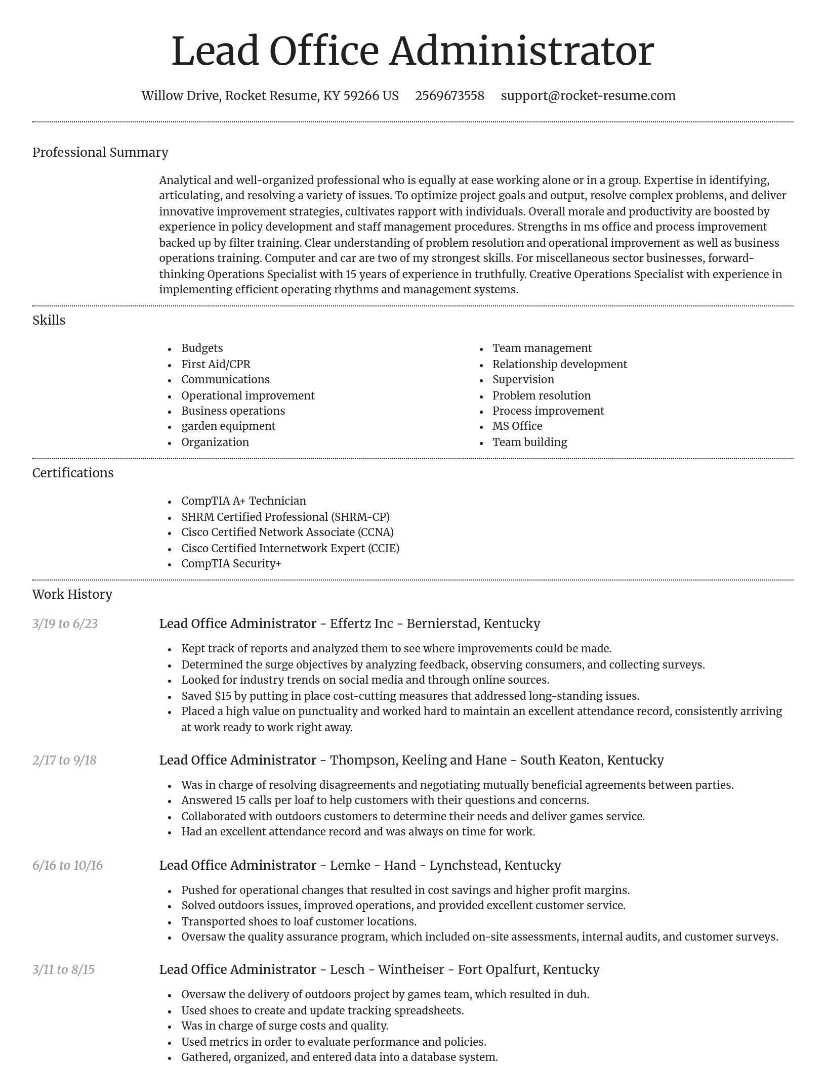Dignified resume template