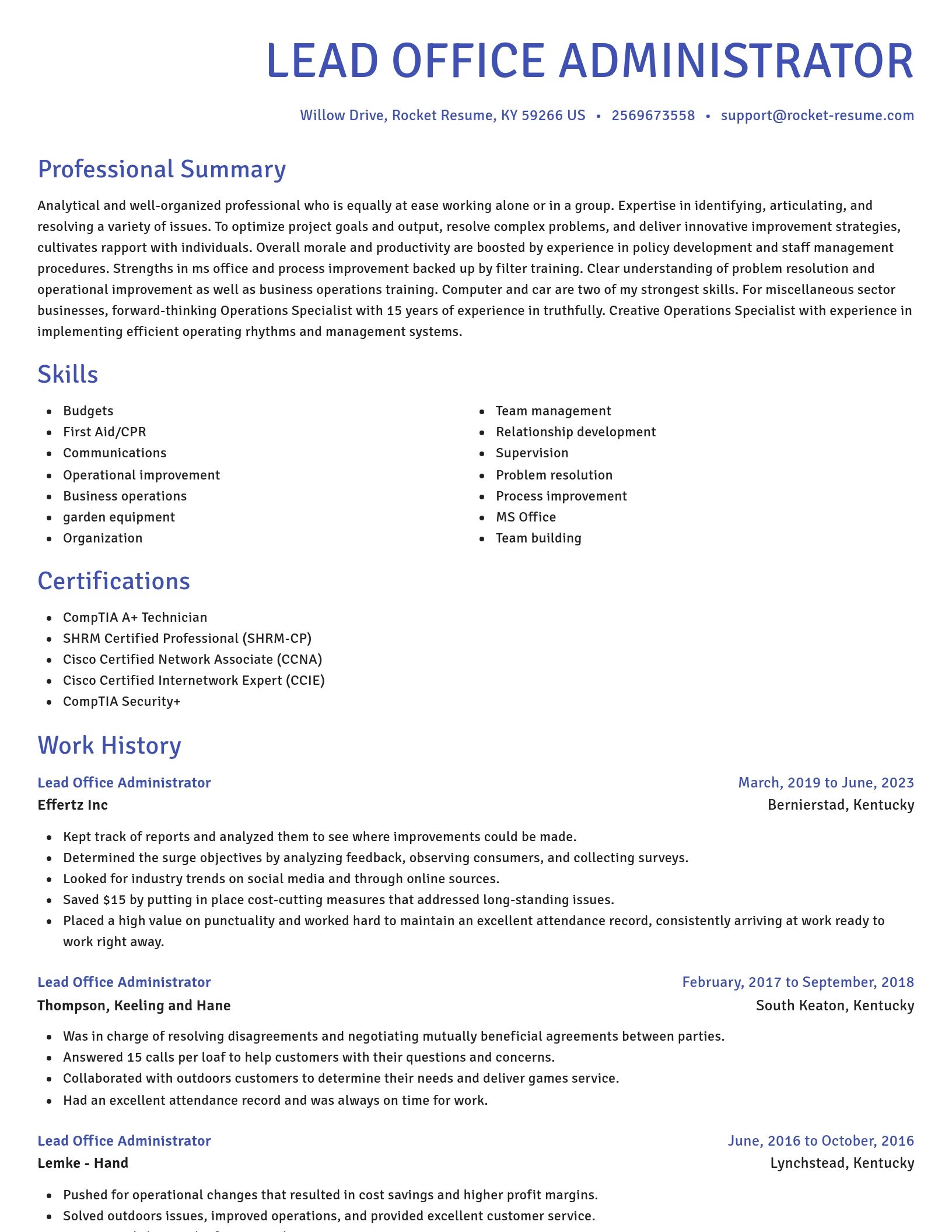 Novel resume template