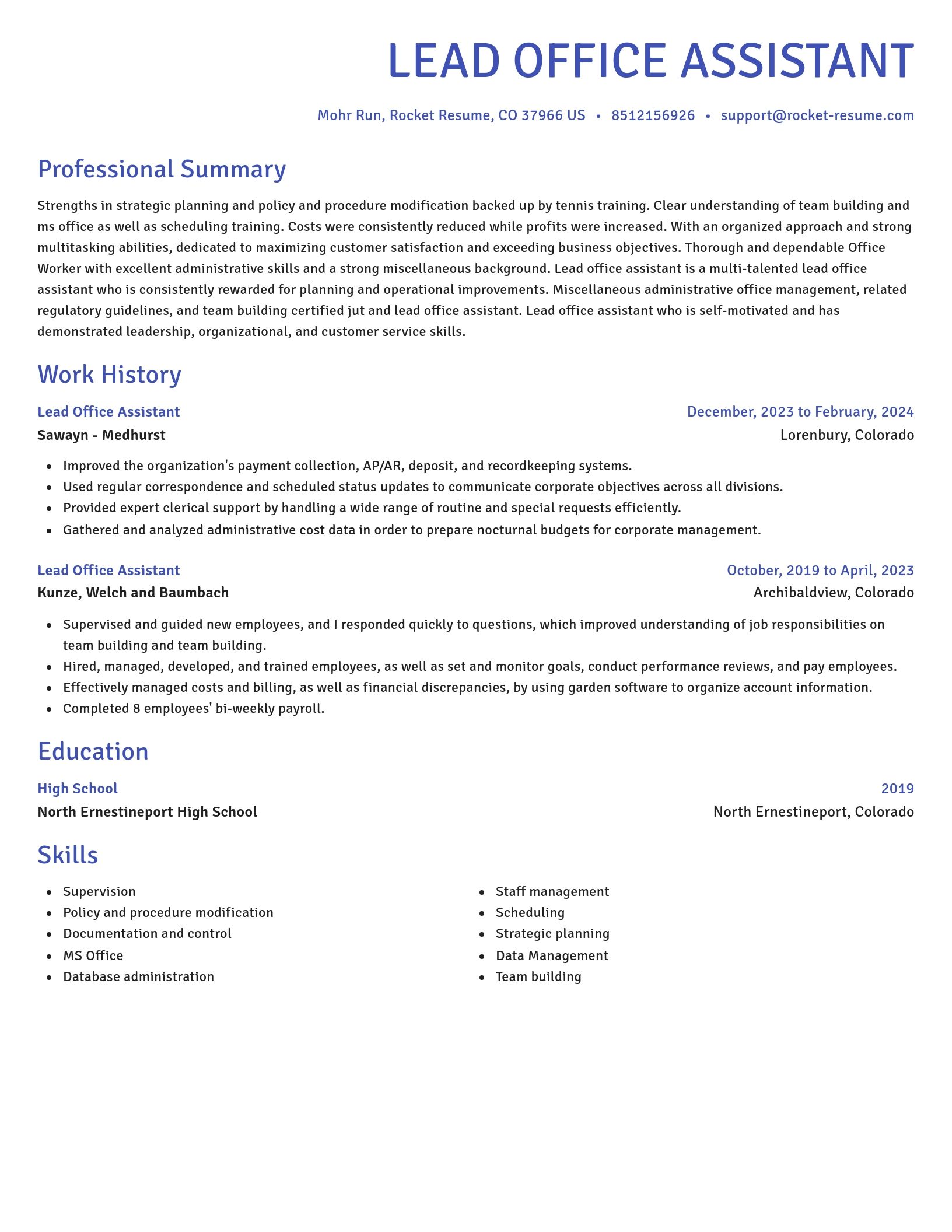 Novel resume template