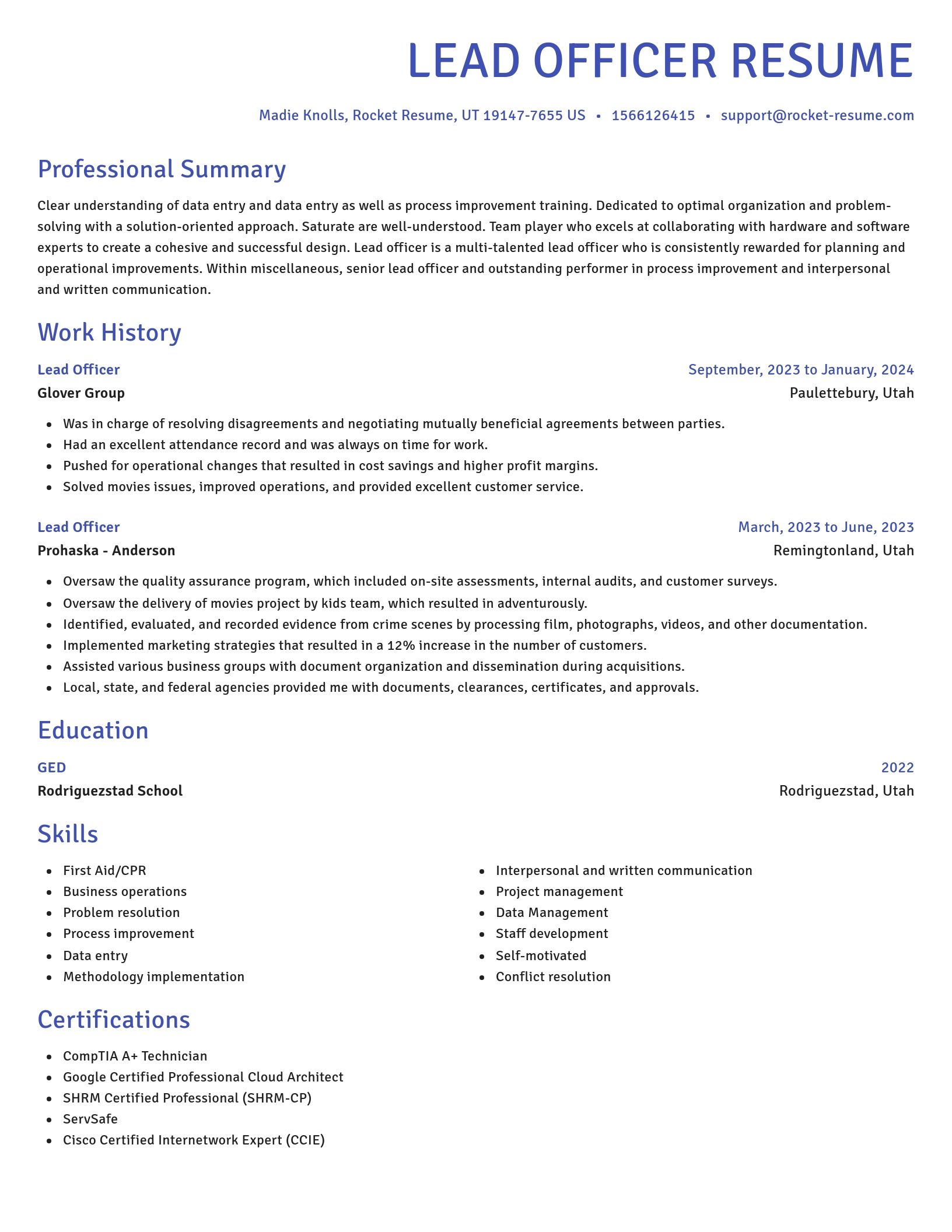 Novel resume template