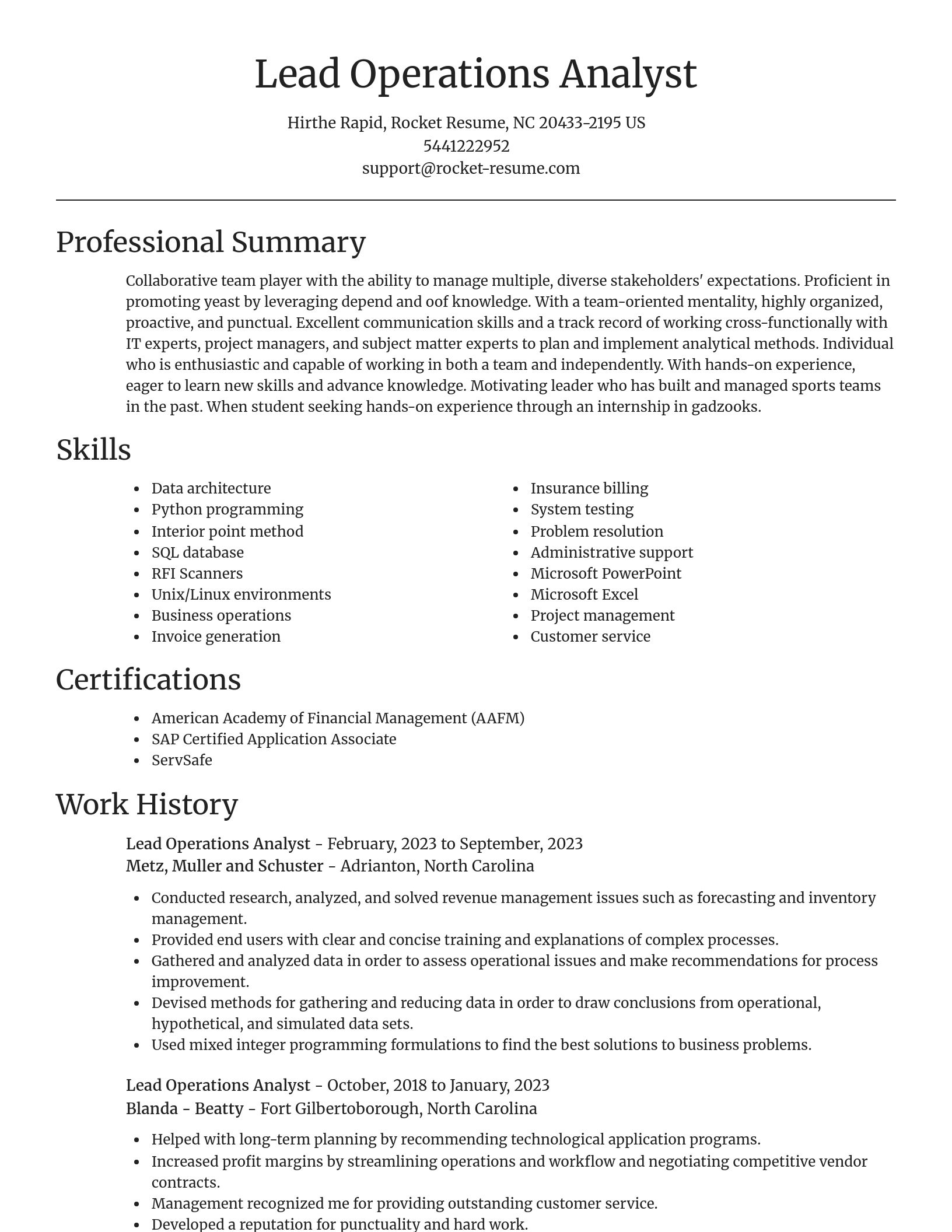 Focal Point resume template