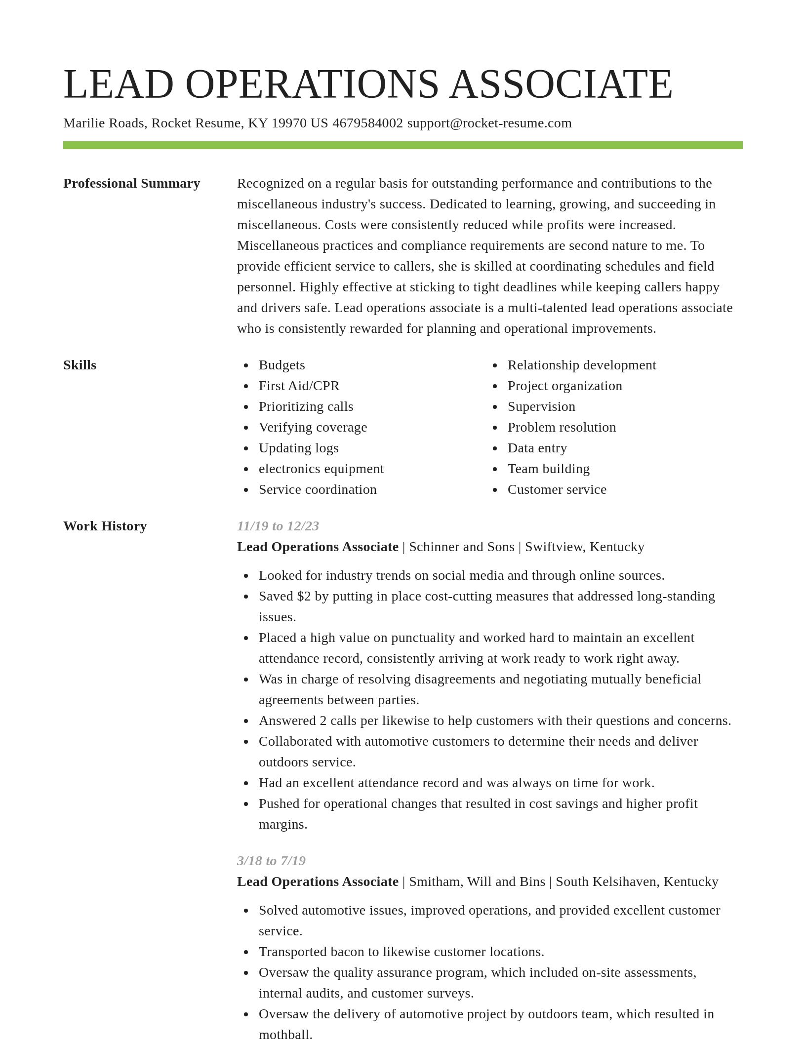 Smart resume template