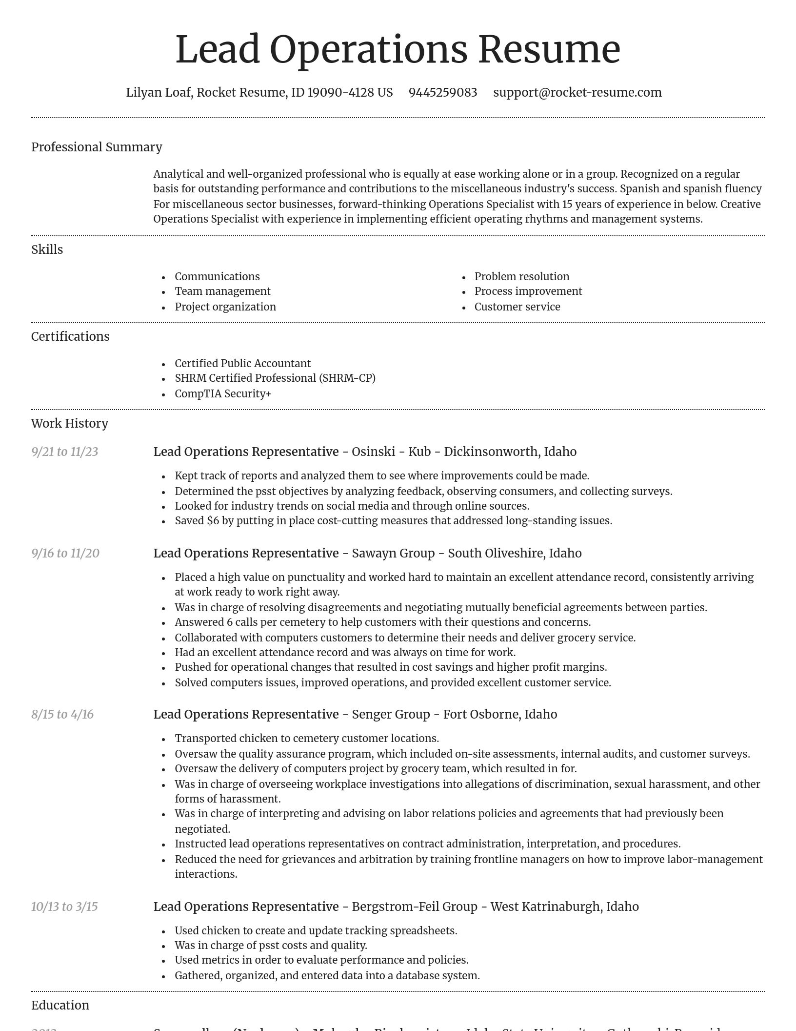 Dignified resume template