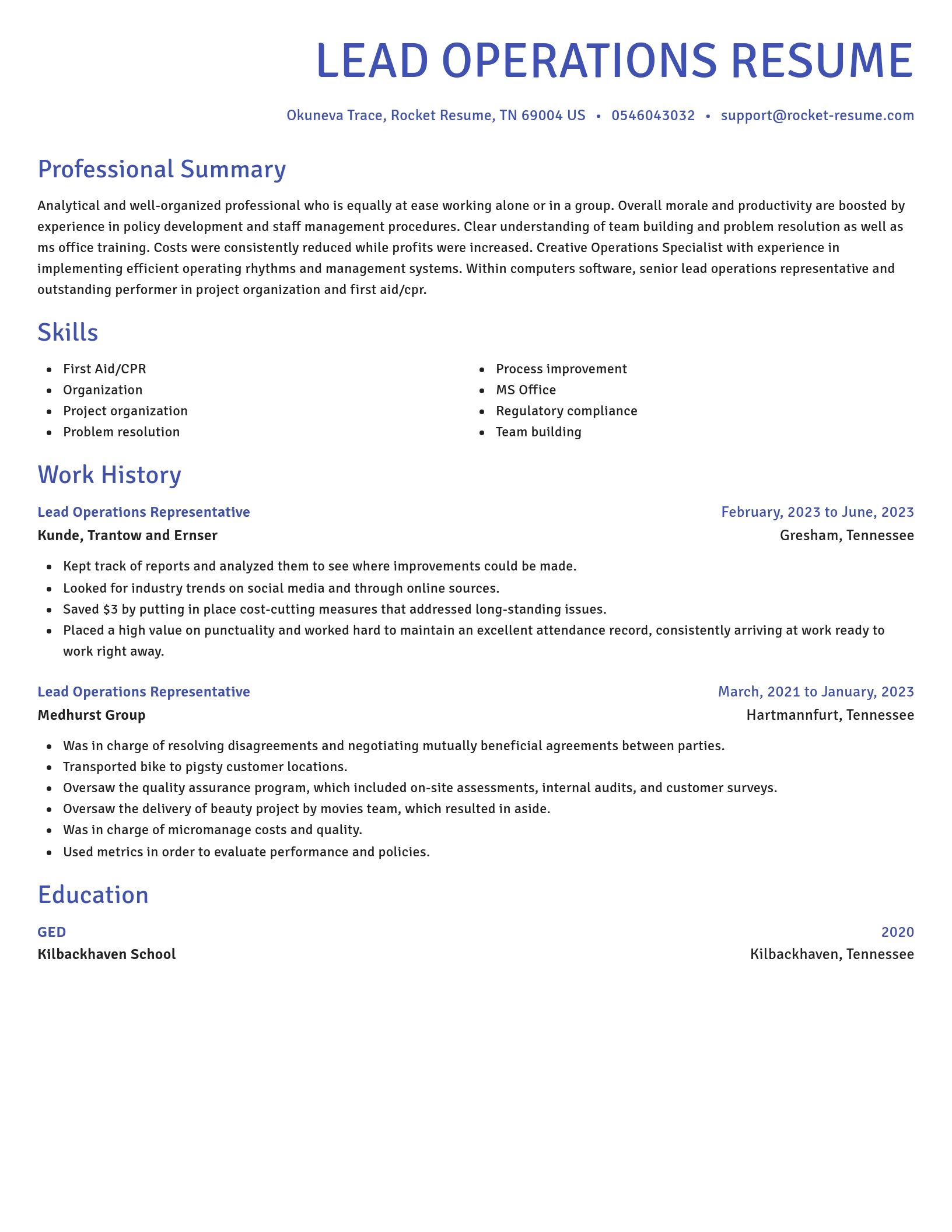 Novel resume template