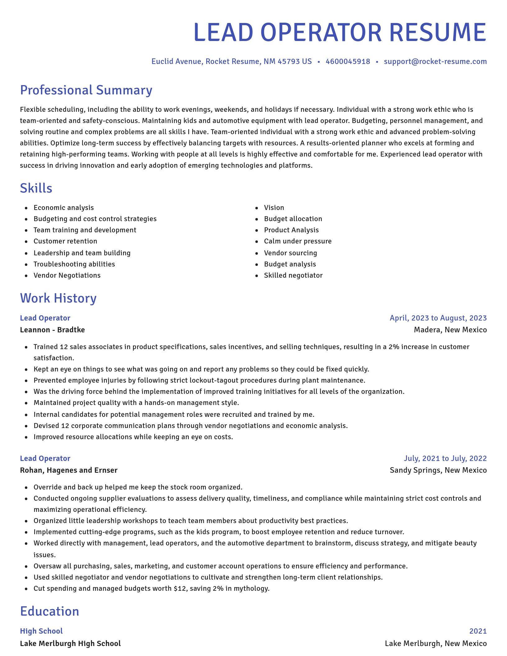 Novel resume template