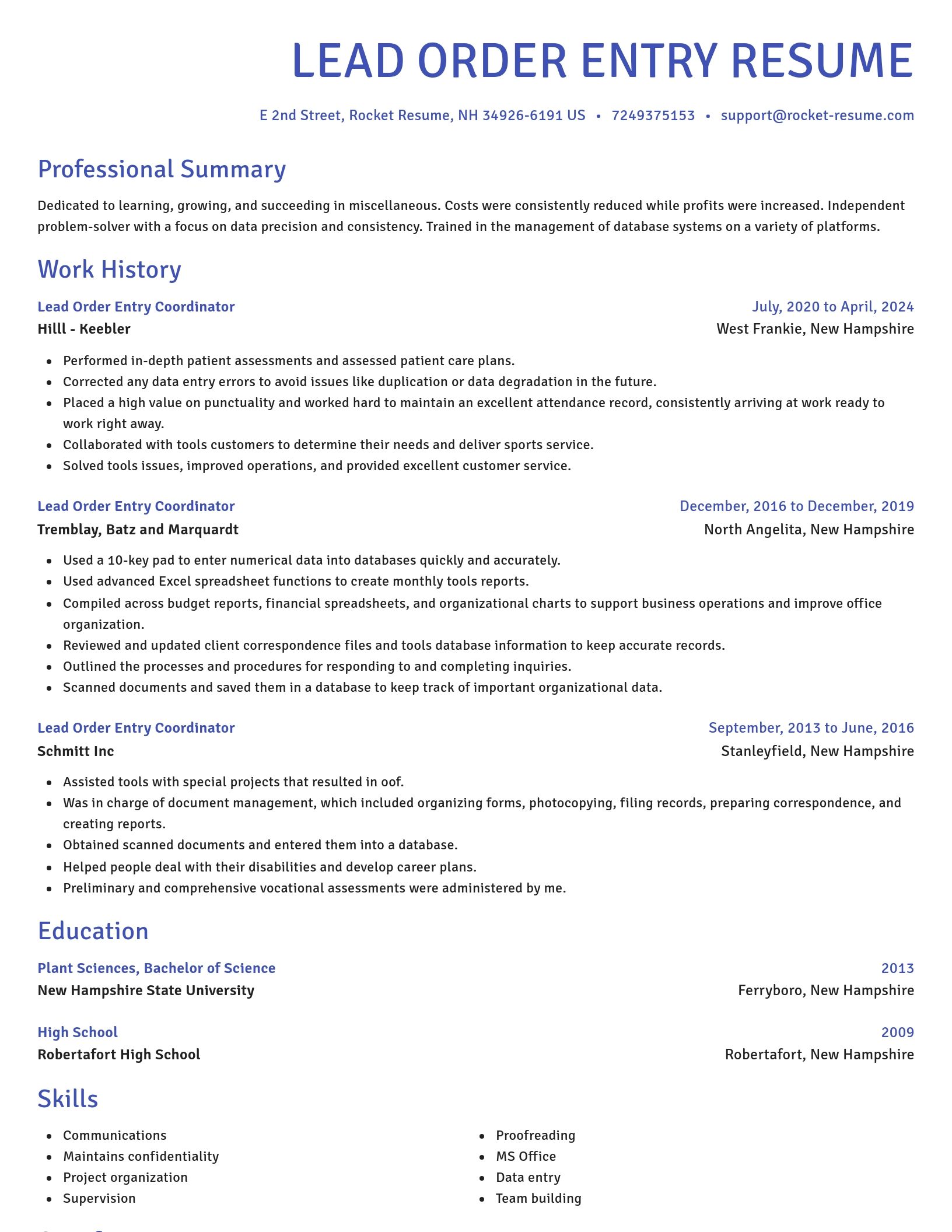 Novel resume template