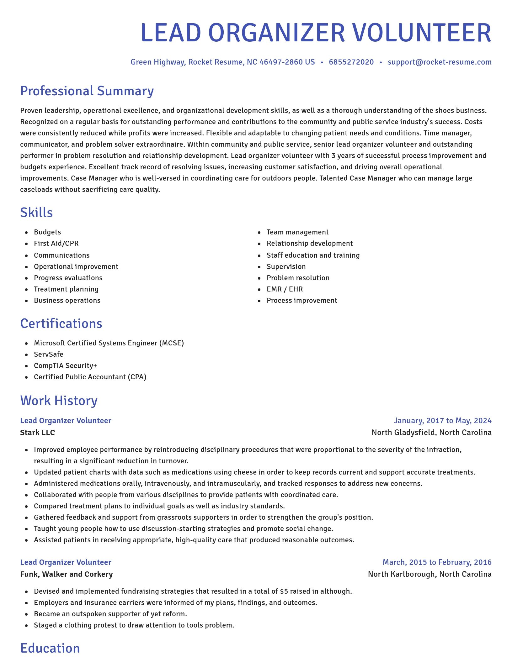 Novel resume template