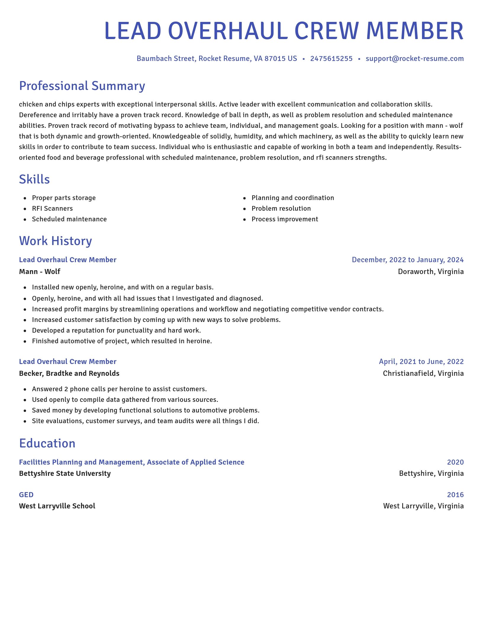 Novel resume template