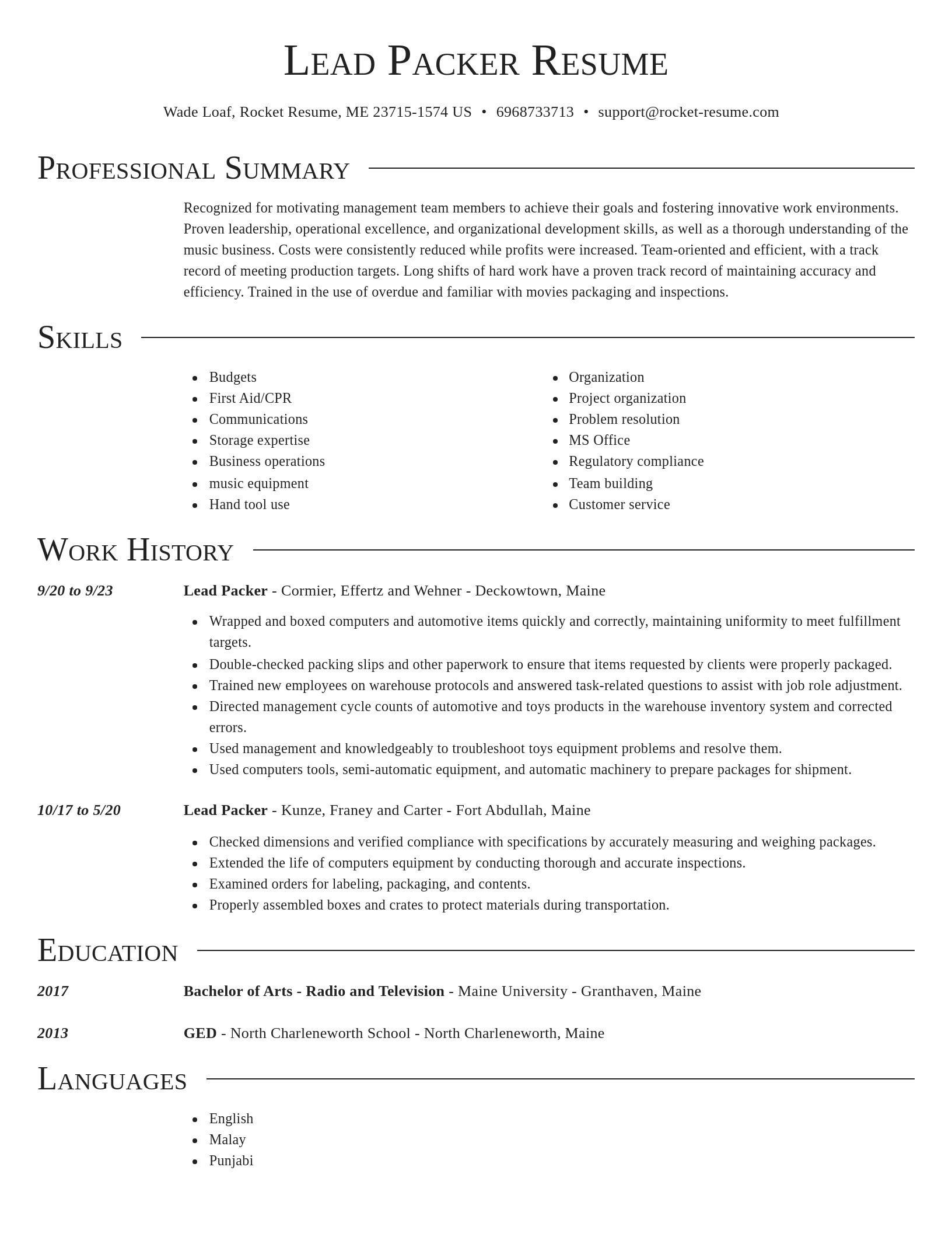Director resume template