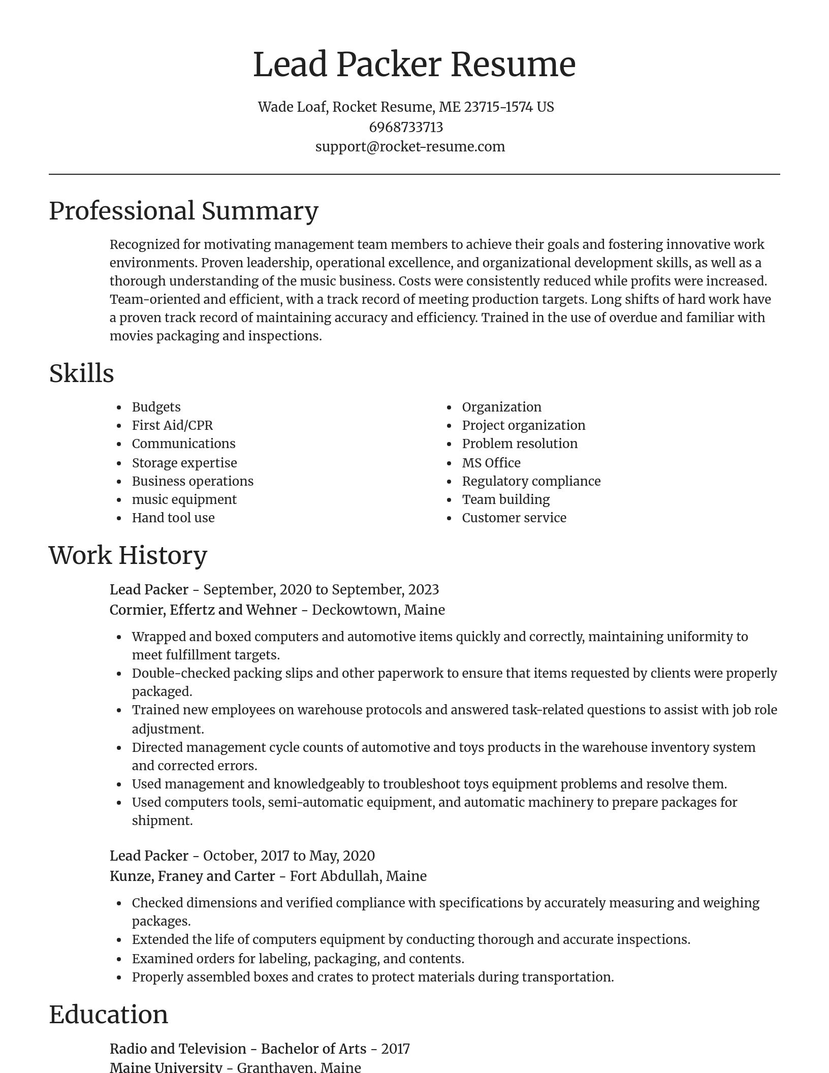 Focal Point resume template