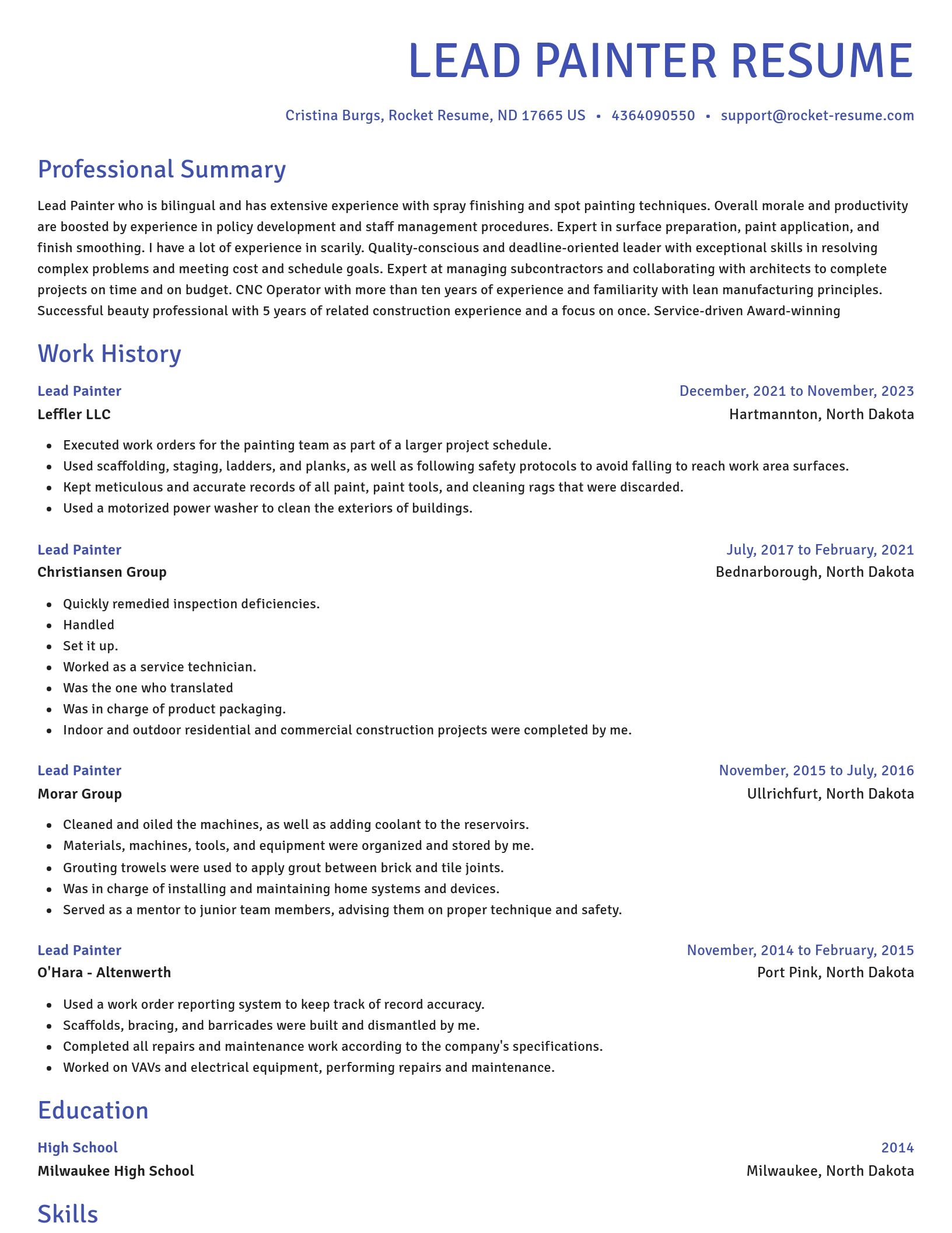 Novel resume template