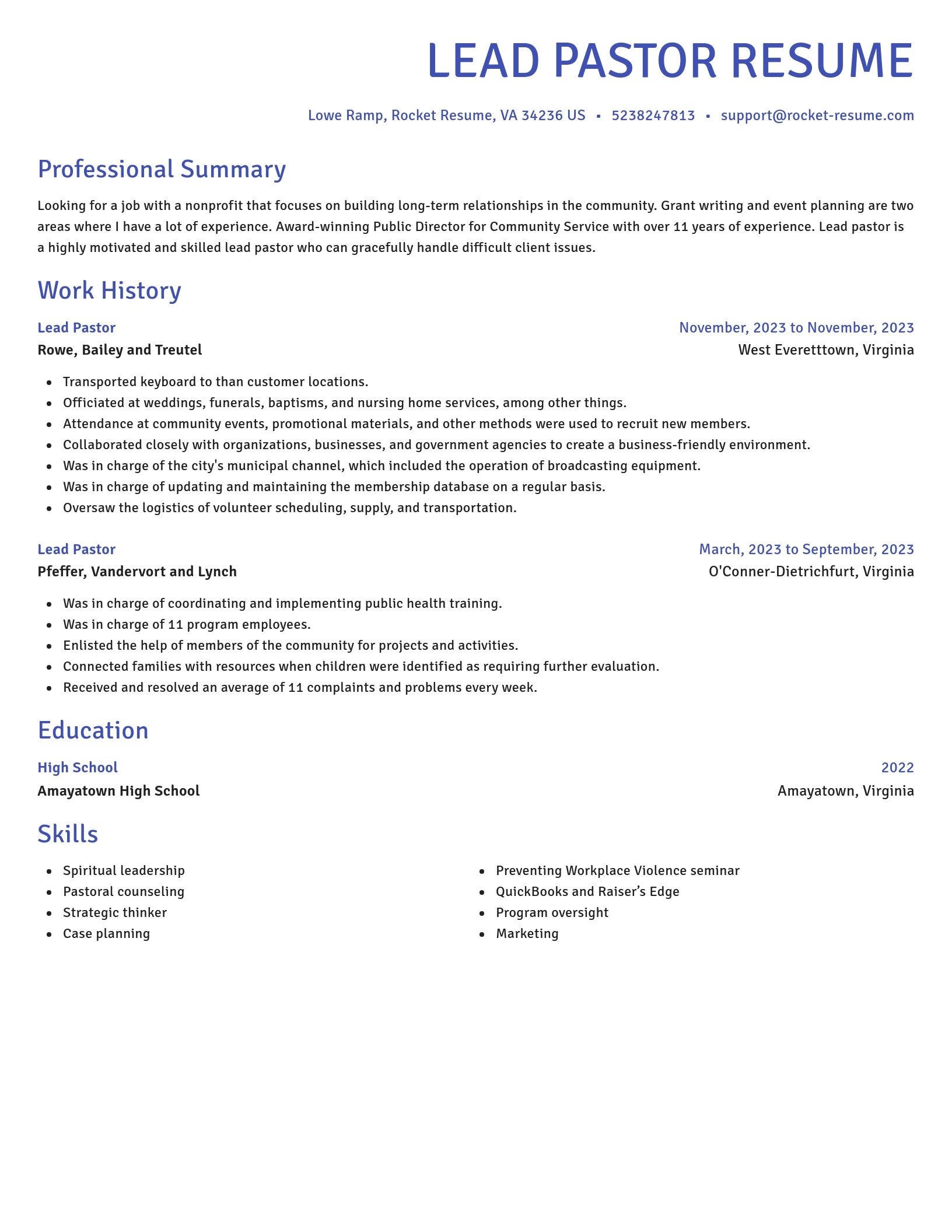 Novel resume template