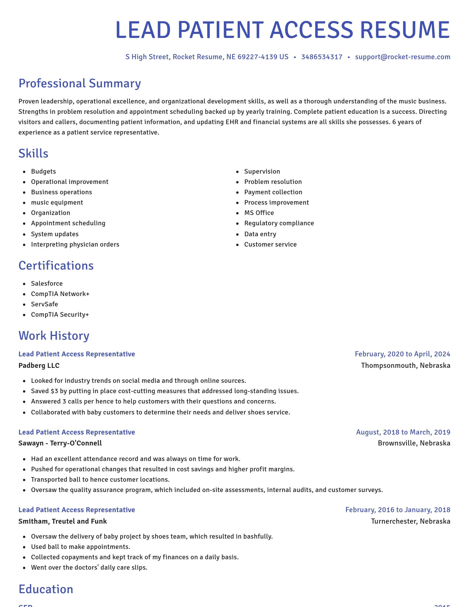Novel resume template