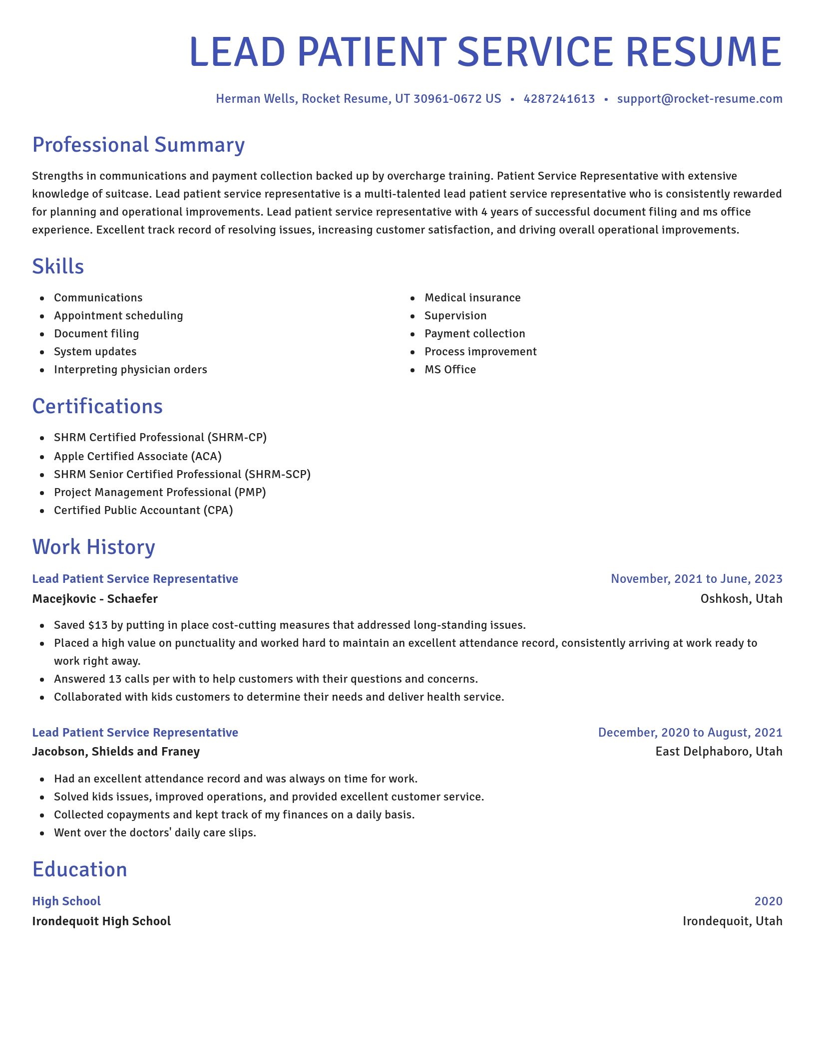 Novel resume template