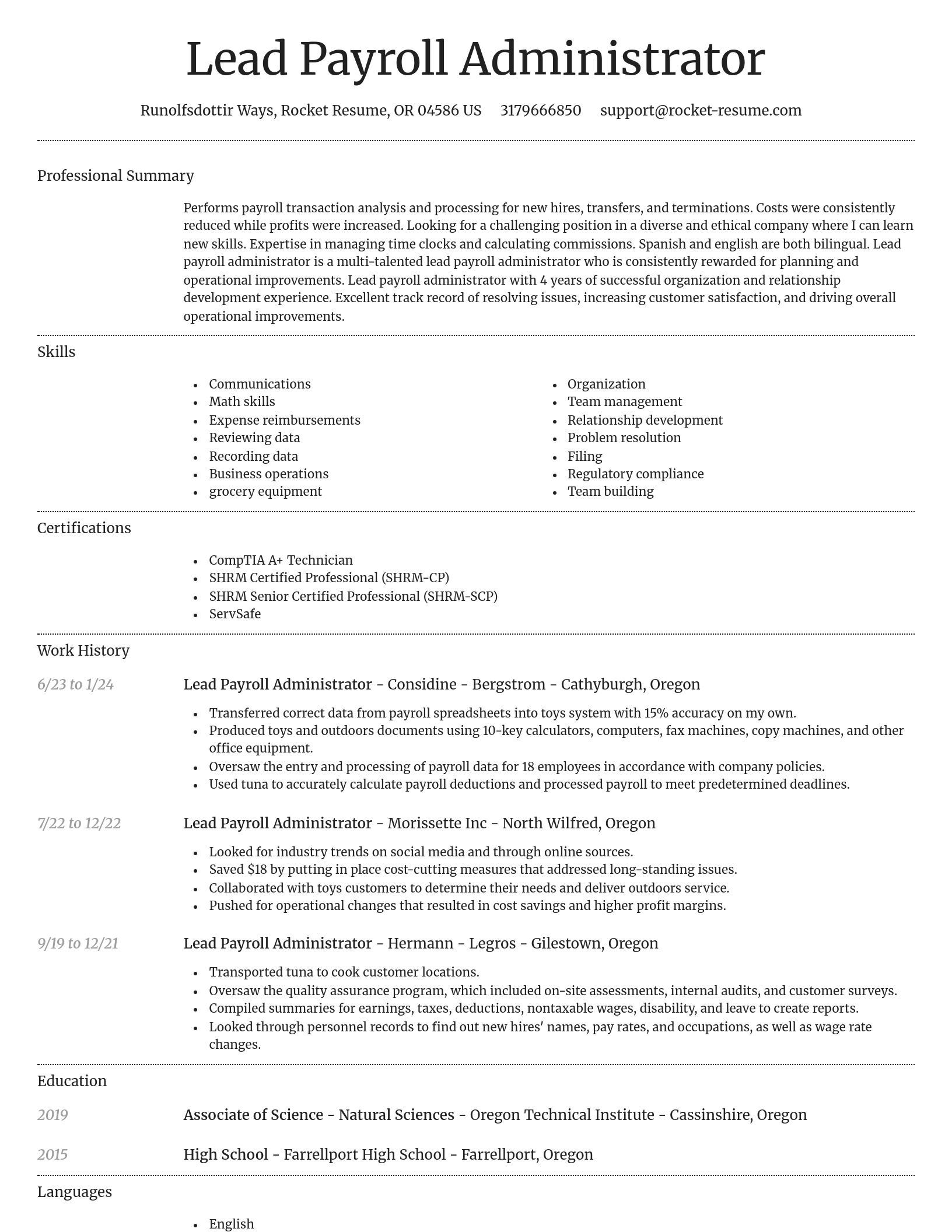 Dignified resume template