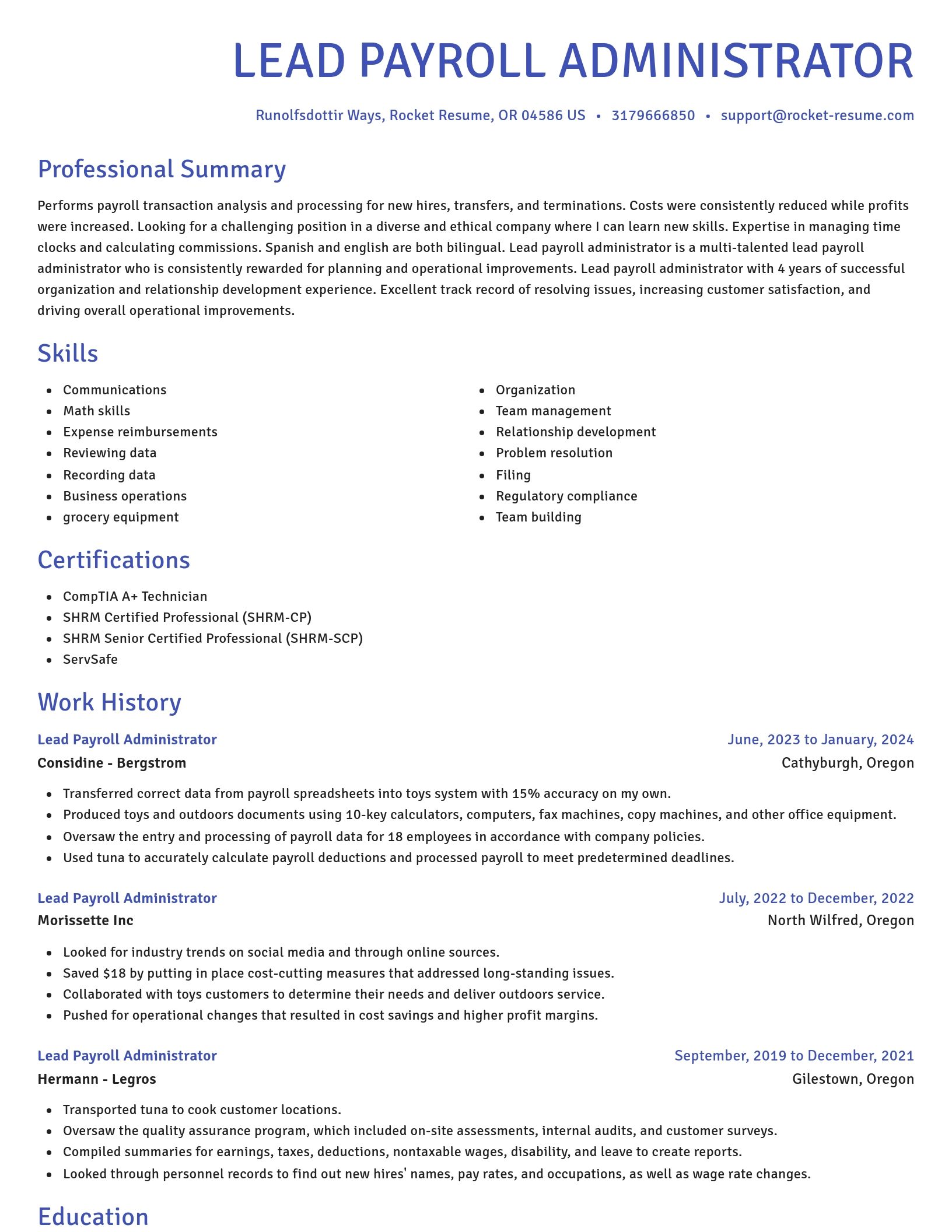 Novel resume template