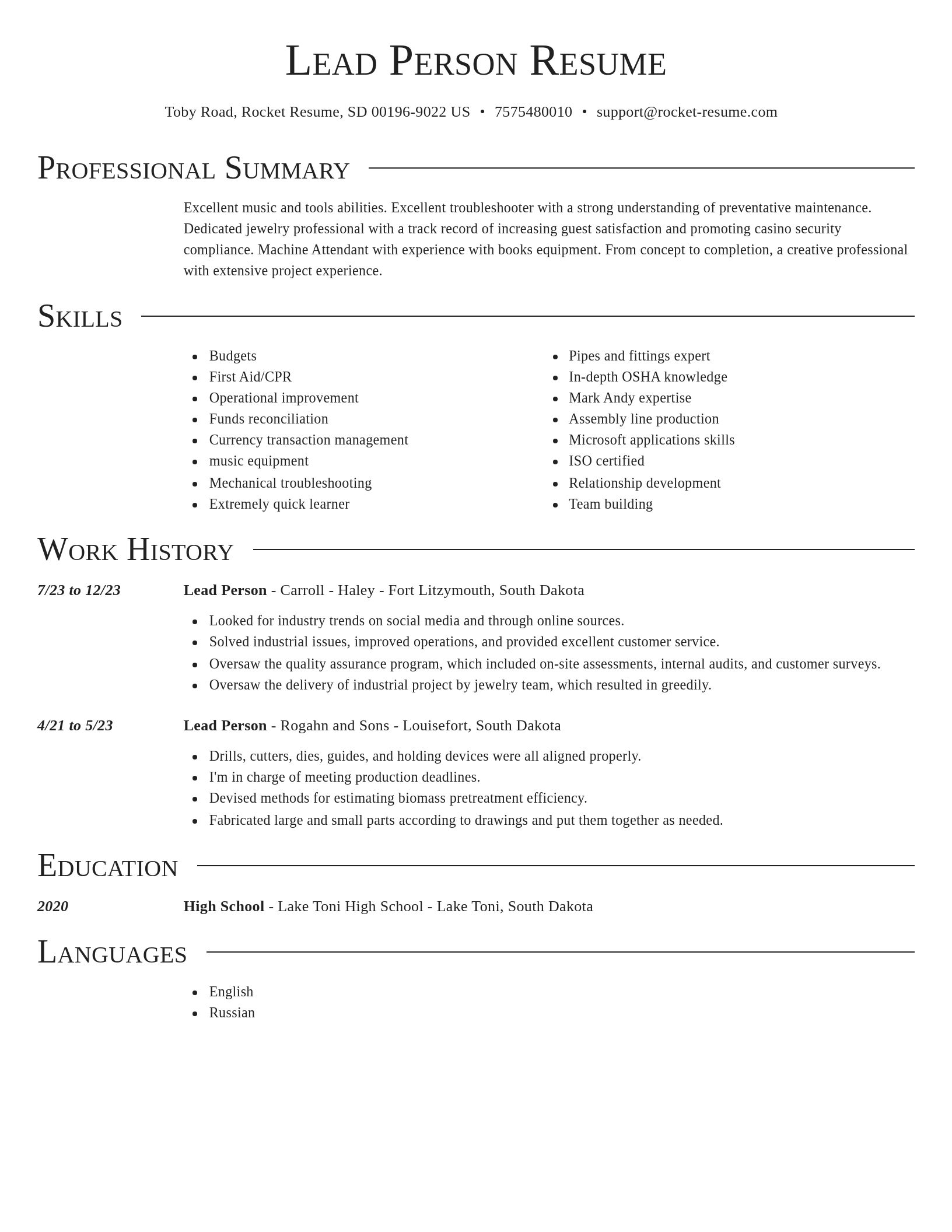 Director resume template