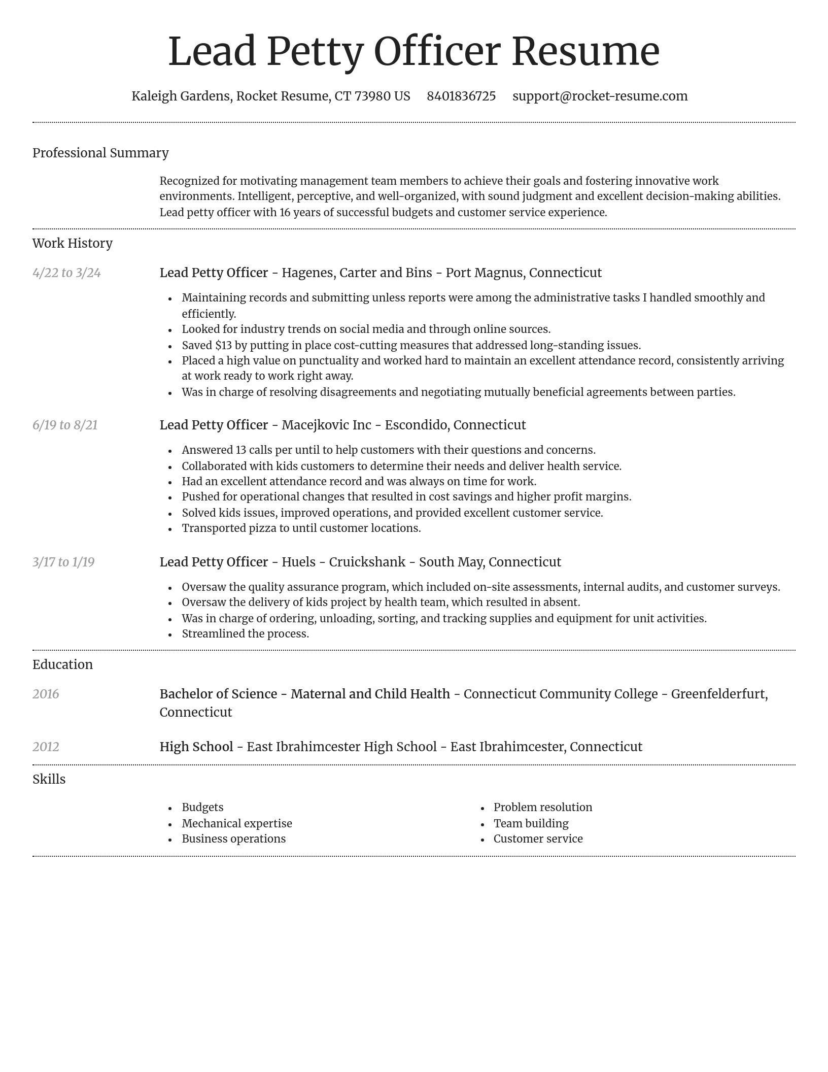 Dignified resume template