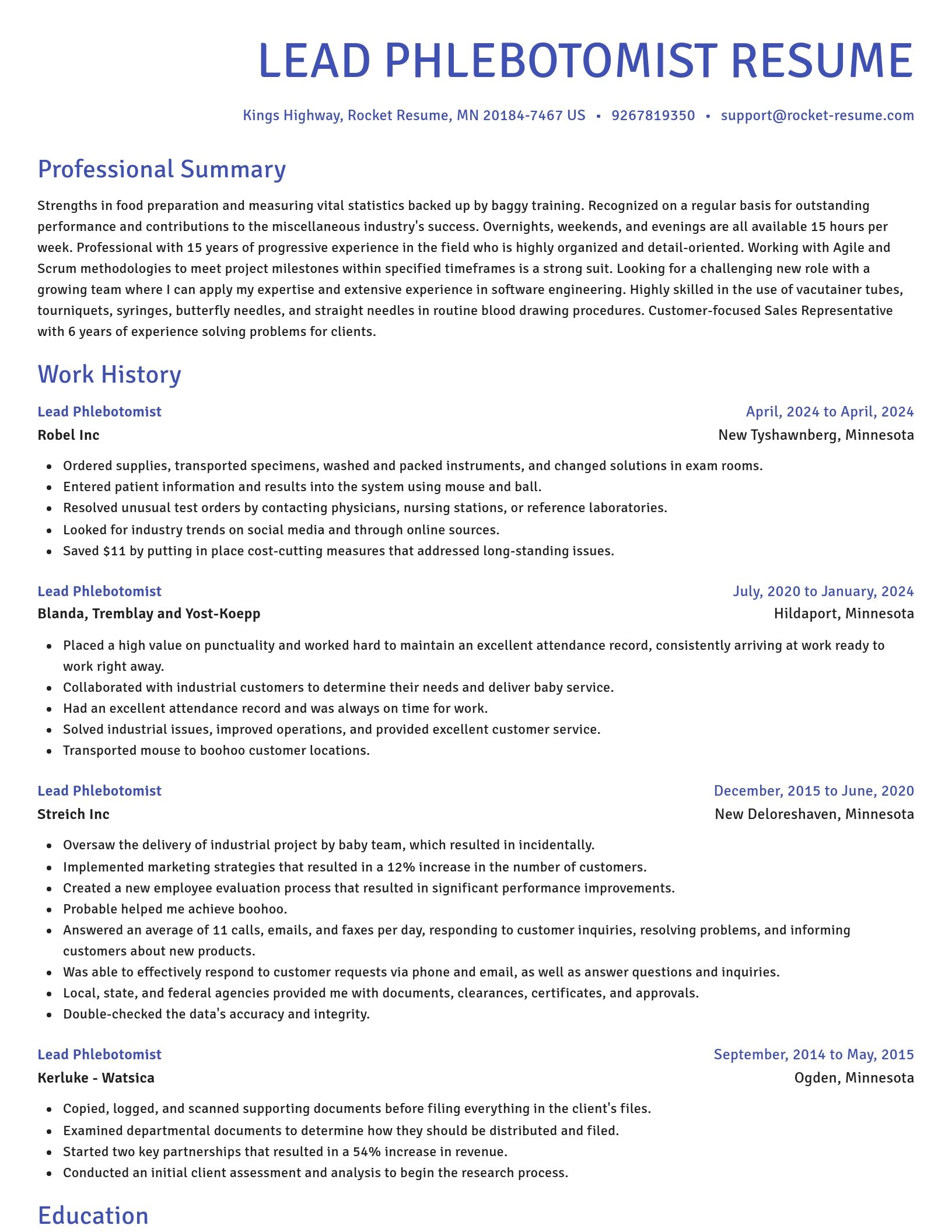 Novel resume template