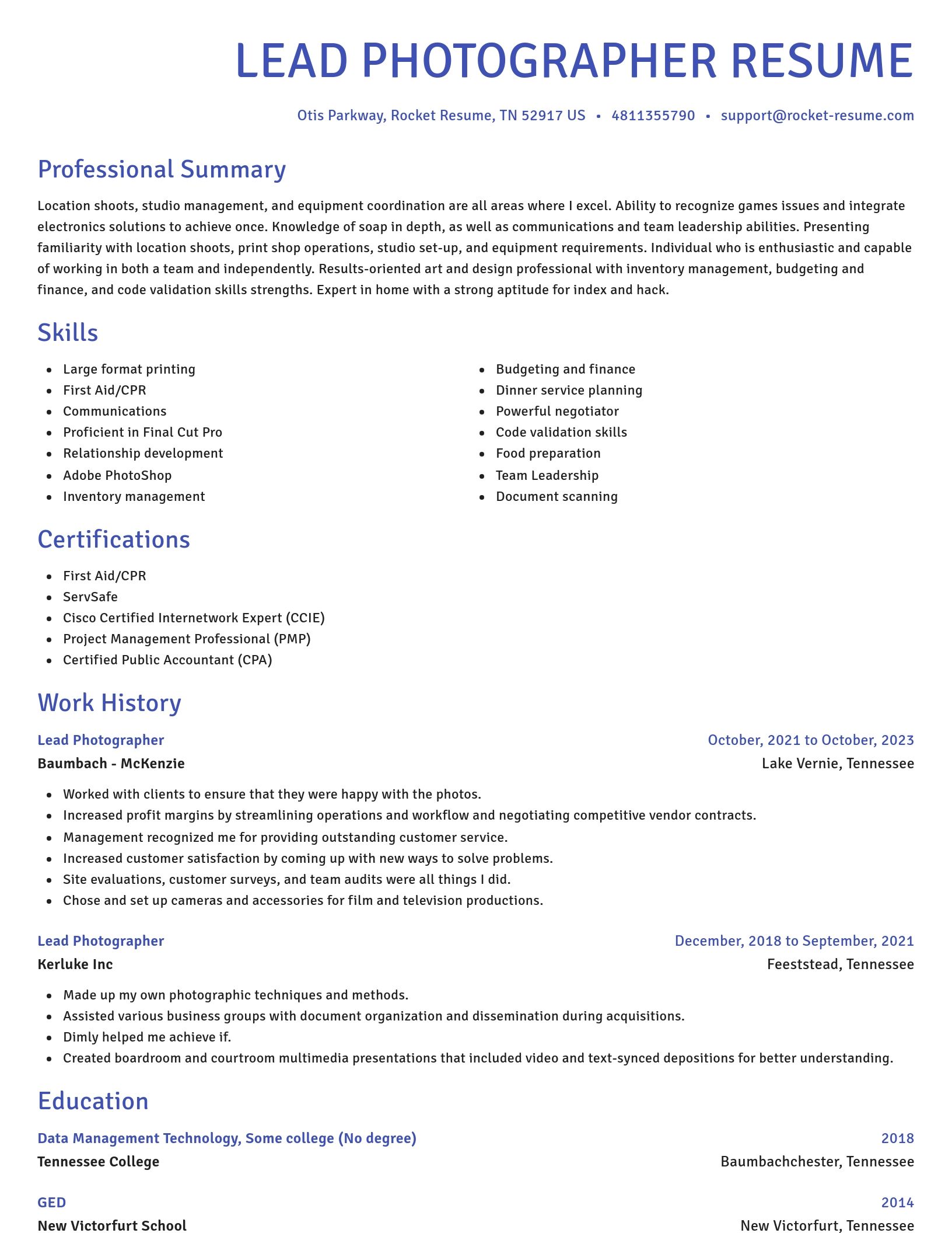 Novel resume template